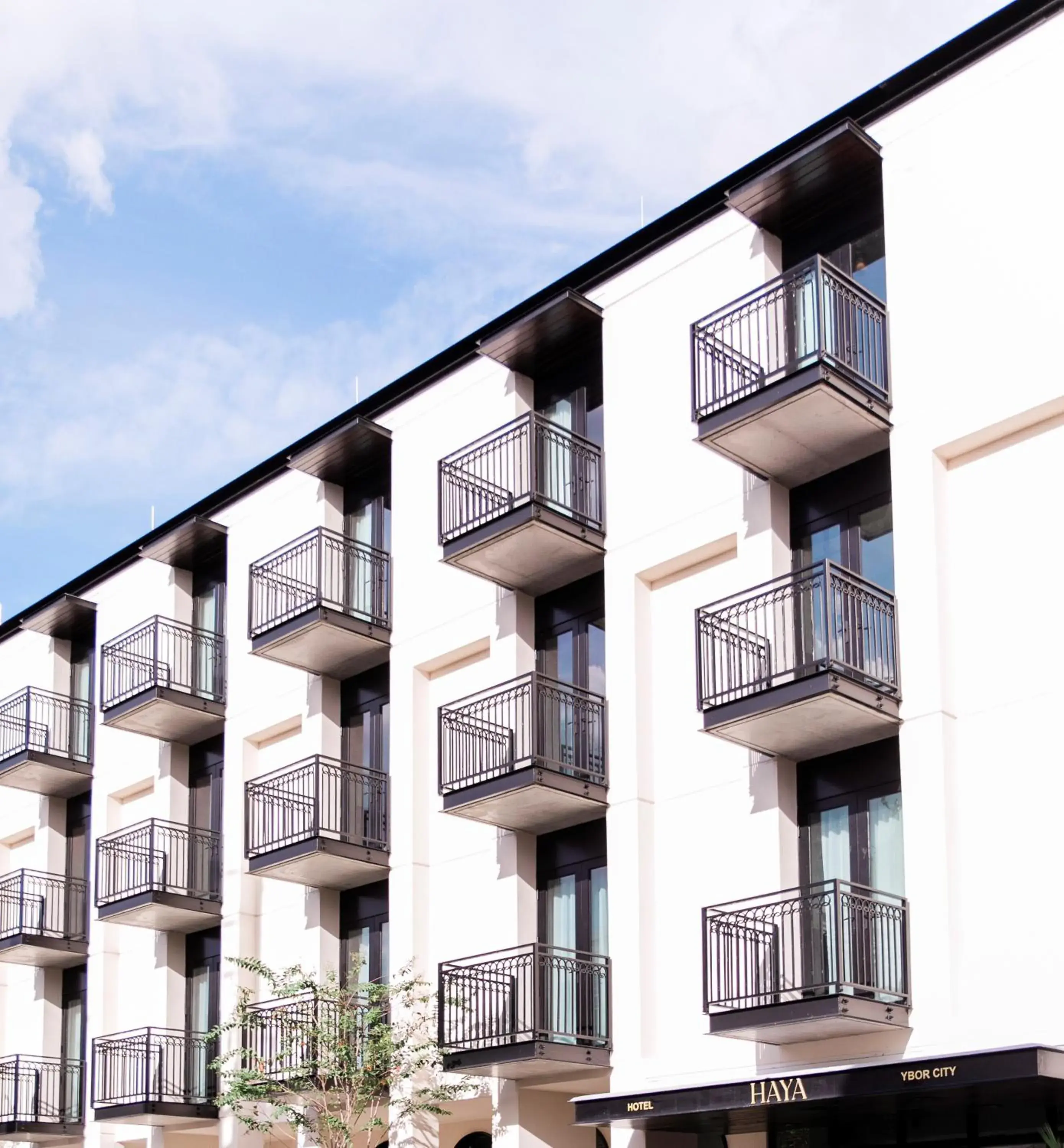 Property building in Hotel Haya Property building in Hotel Haya