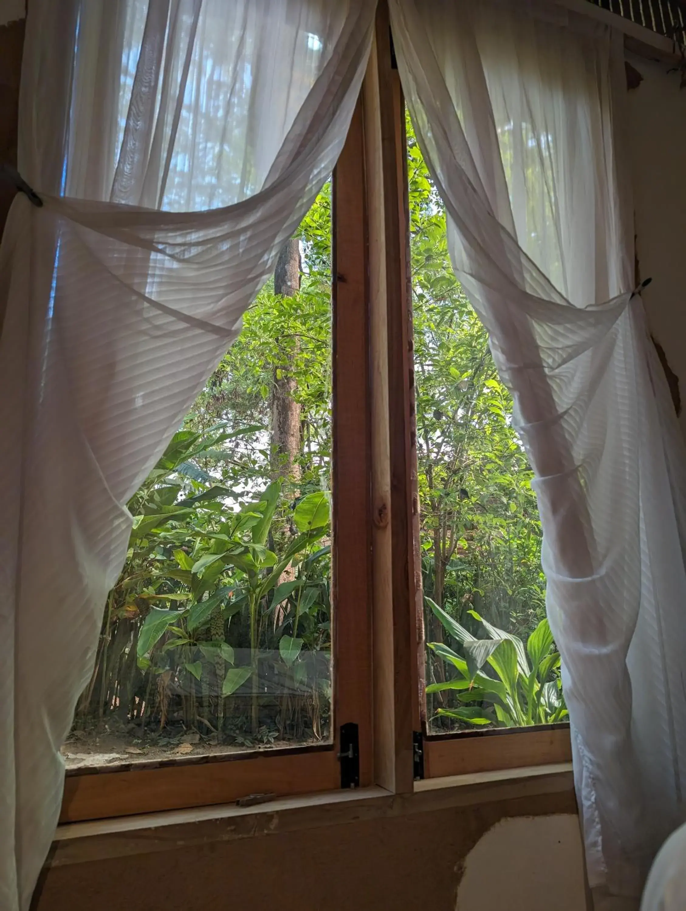 Deluxe Double or Twin Room with Garden View - single occupancy in Backyard Eco Bungalows Moshi Deluxe Double or Twin Room with Garden View - single occupancy in Backyard Eco Bungalows Moshi
