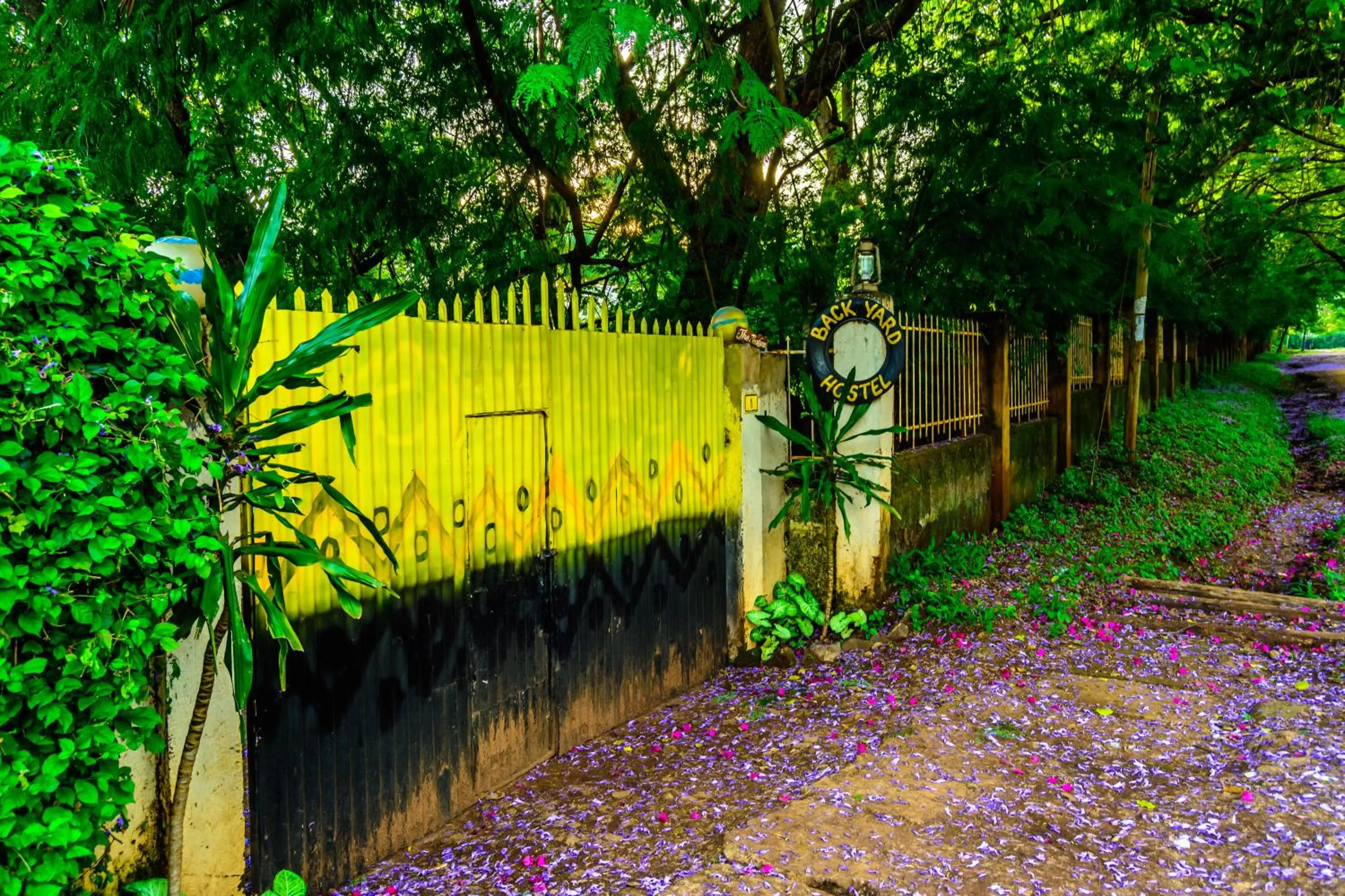 Backyard Eco Bungalows Moshi