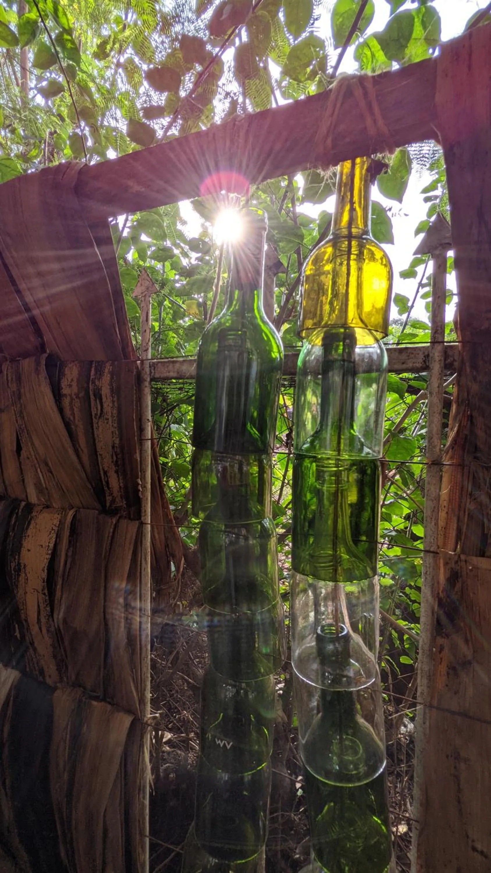 Backyard Eco Bungalows Moshi