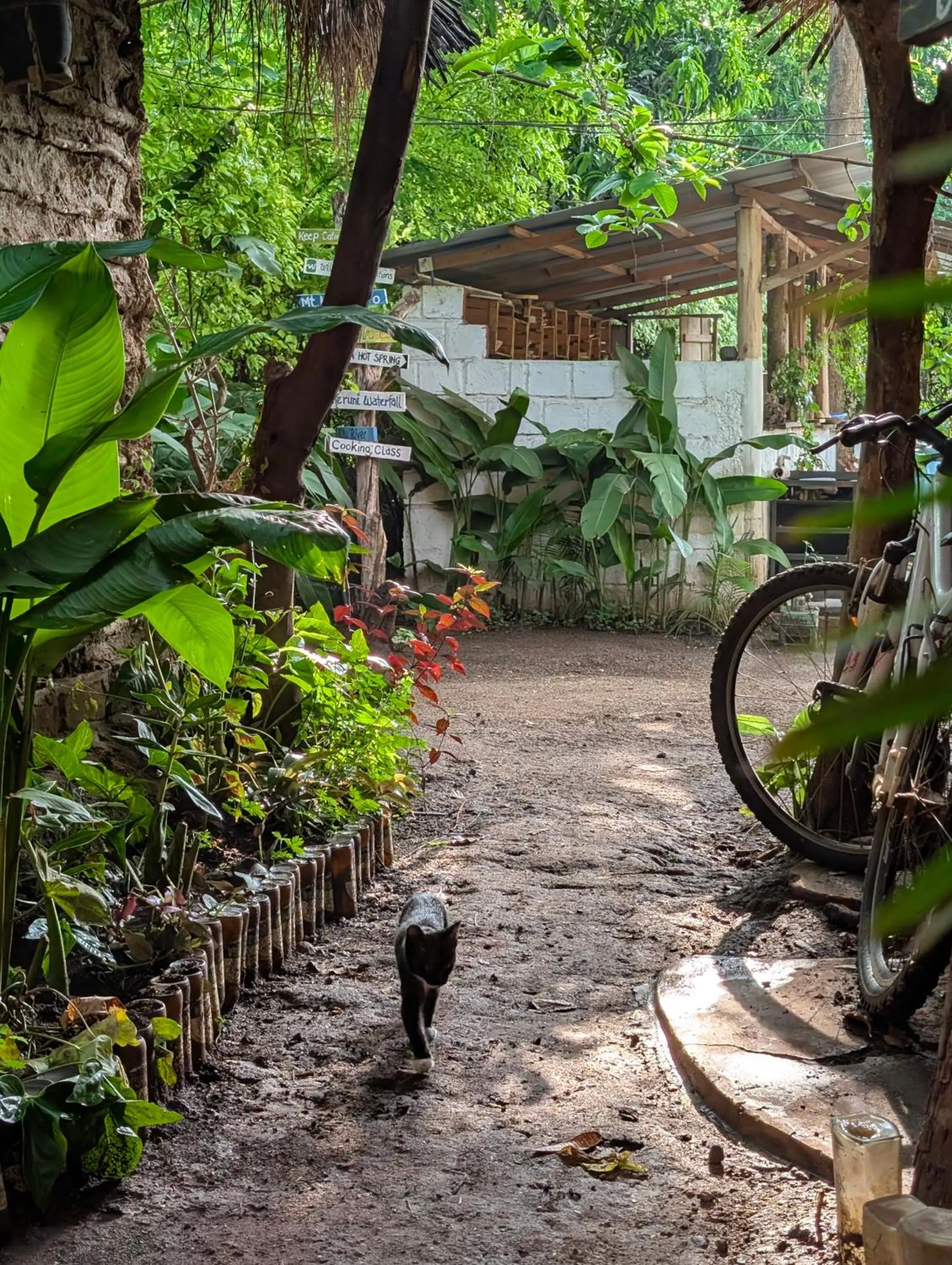 Backyard Eco Bungalows Moshi