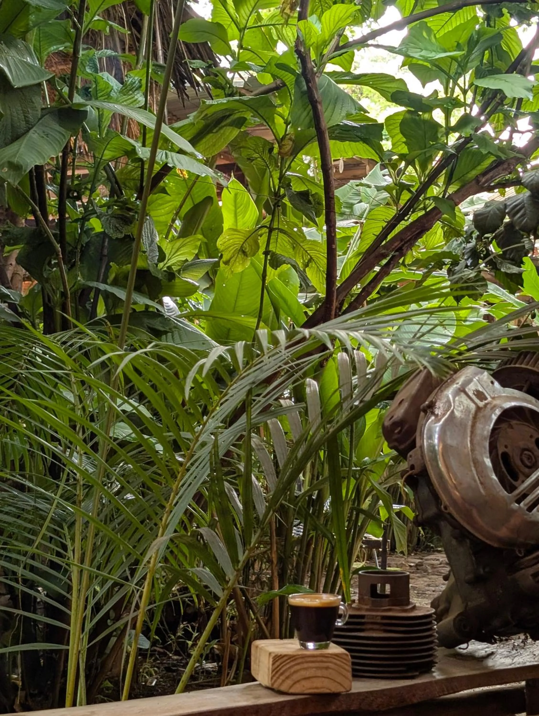 Backyard Eco Bungalows Moshi