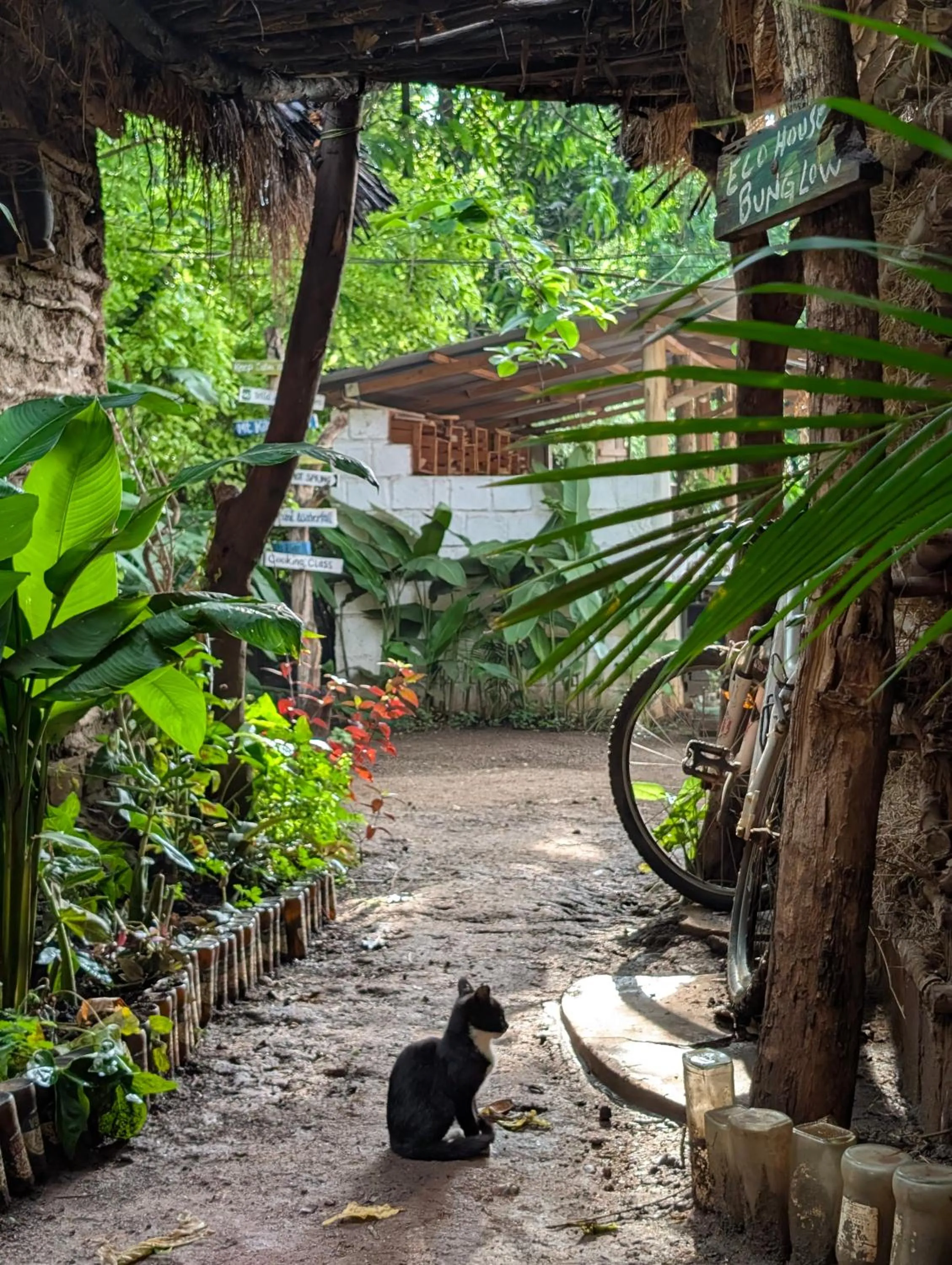 Pets in Backyard Eco Bungalows Moshi