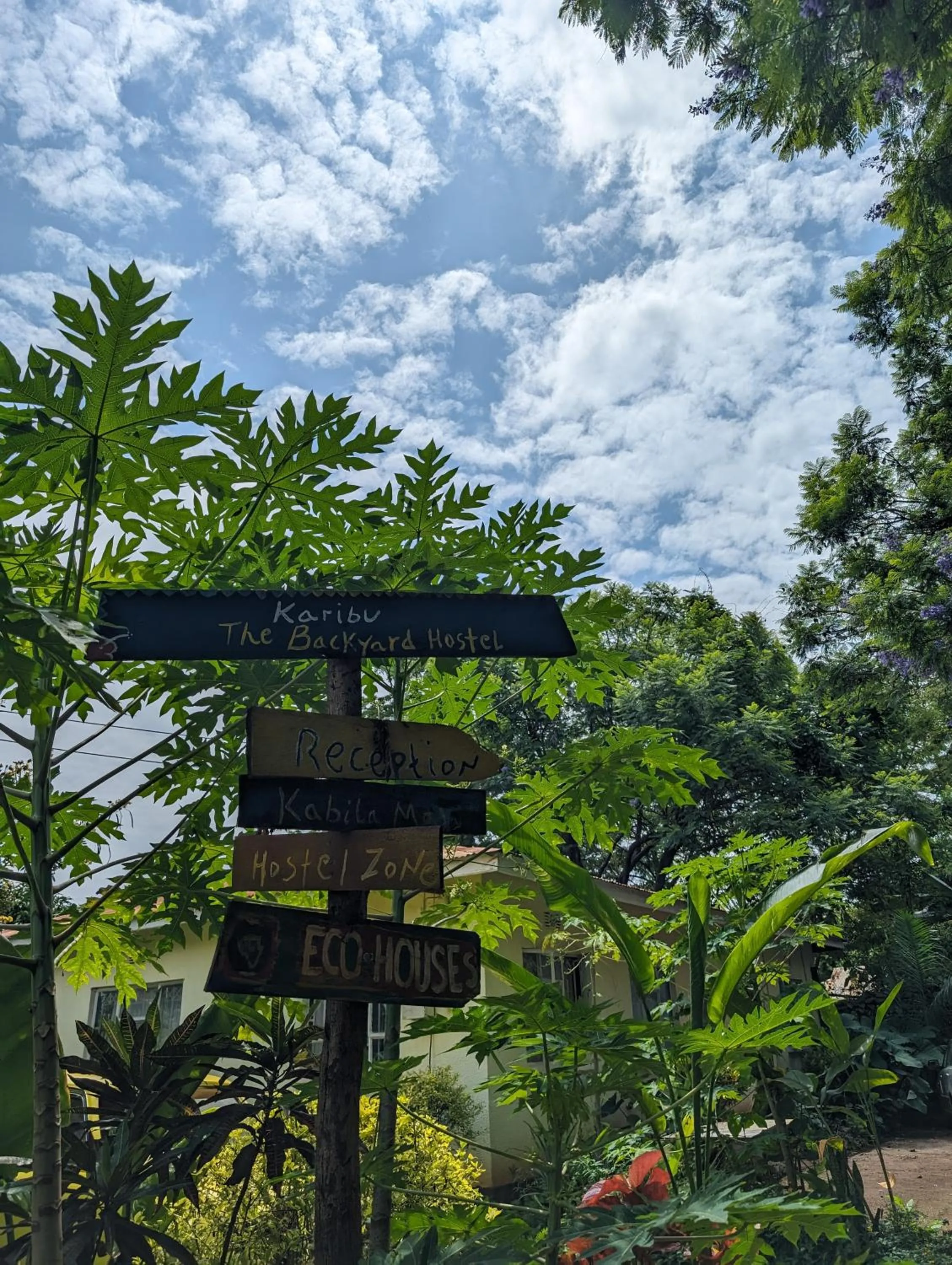 Backyard Eco Bungalows Moshi
