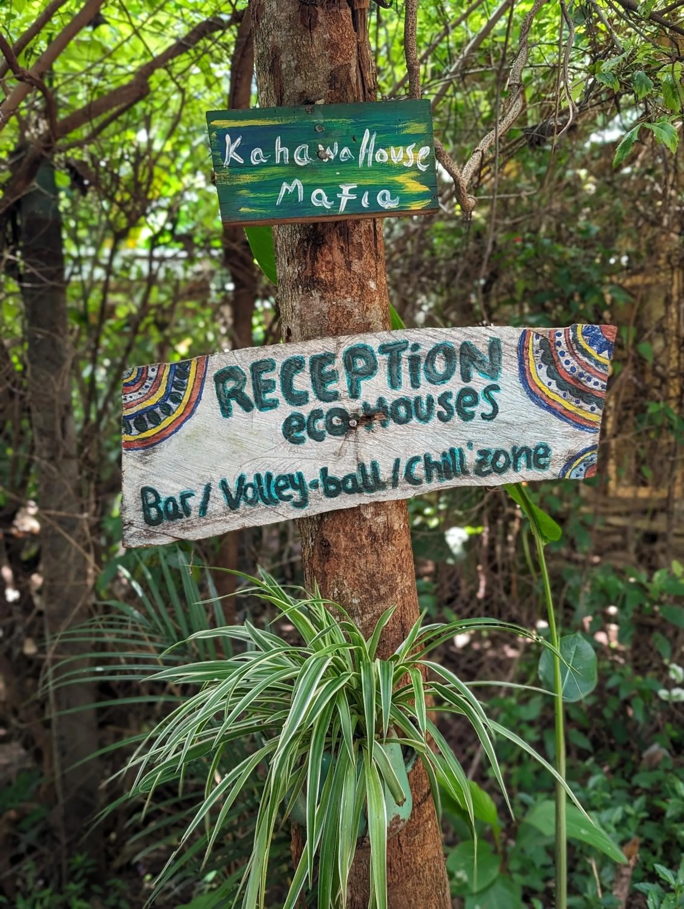 Backyard Eco Bungalows Moshi