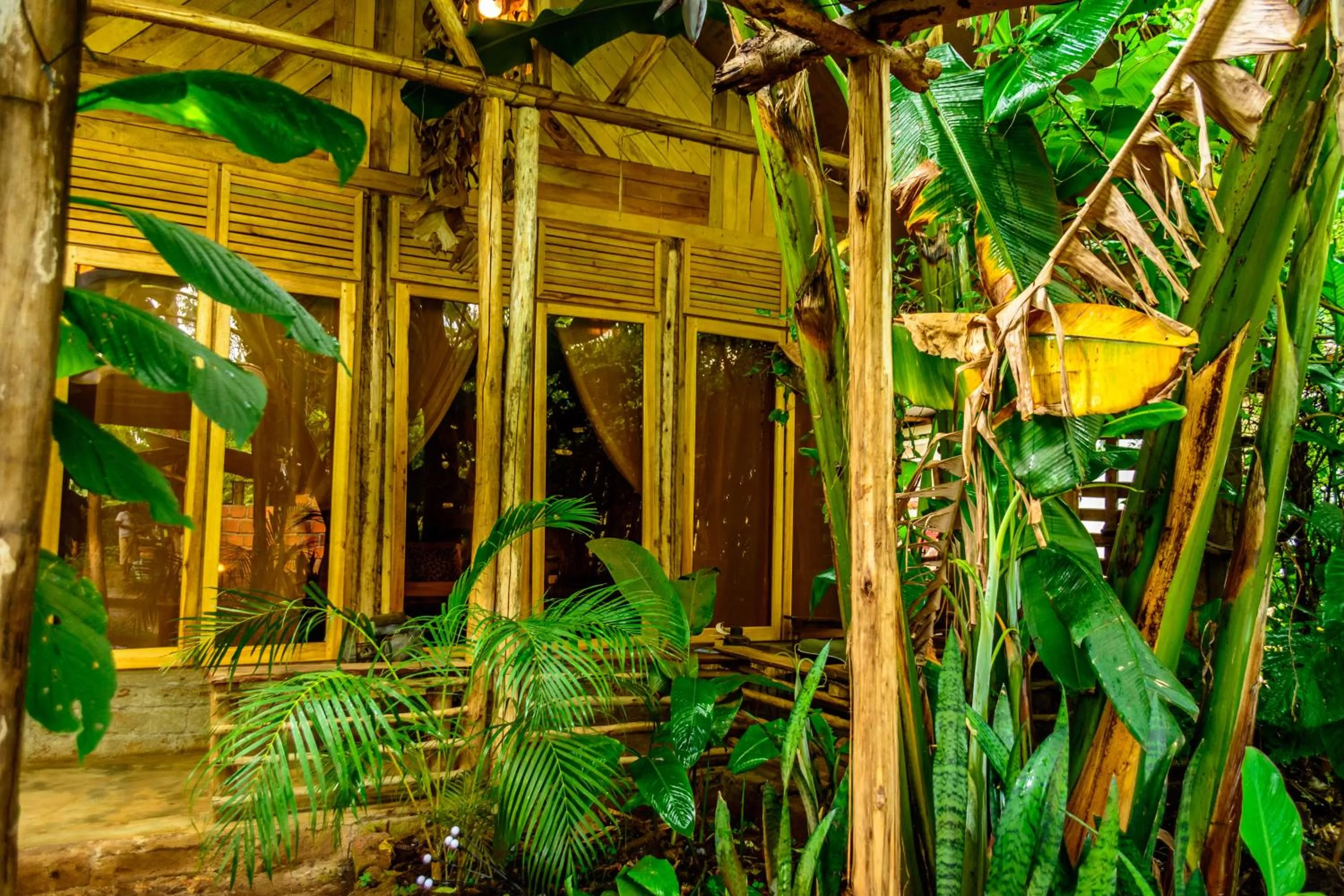 Backyard Eco Bungalows Moshi