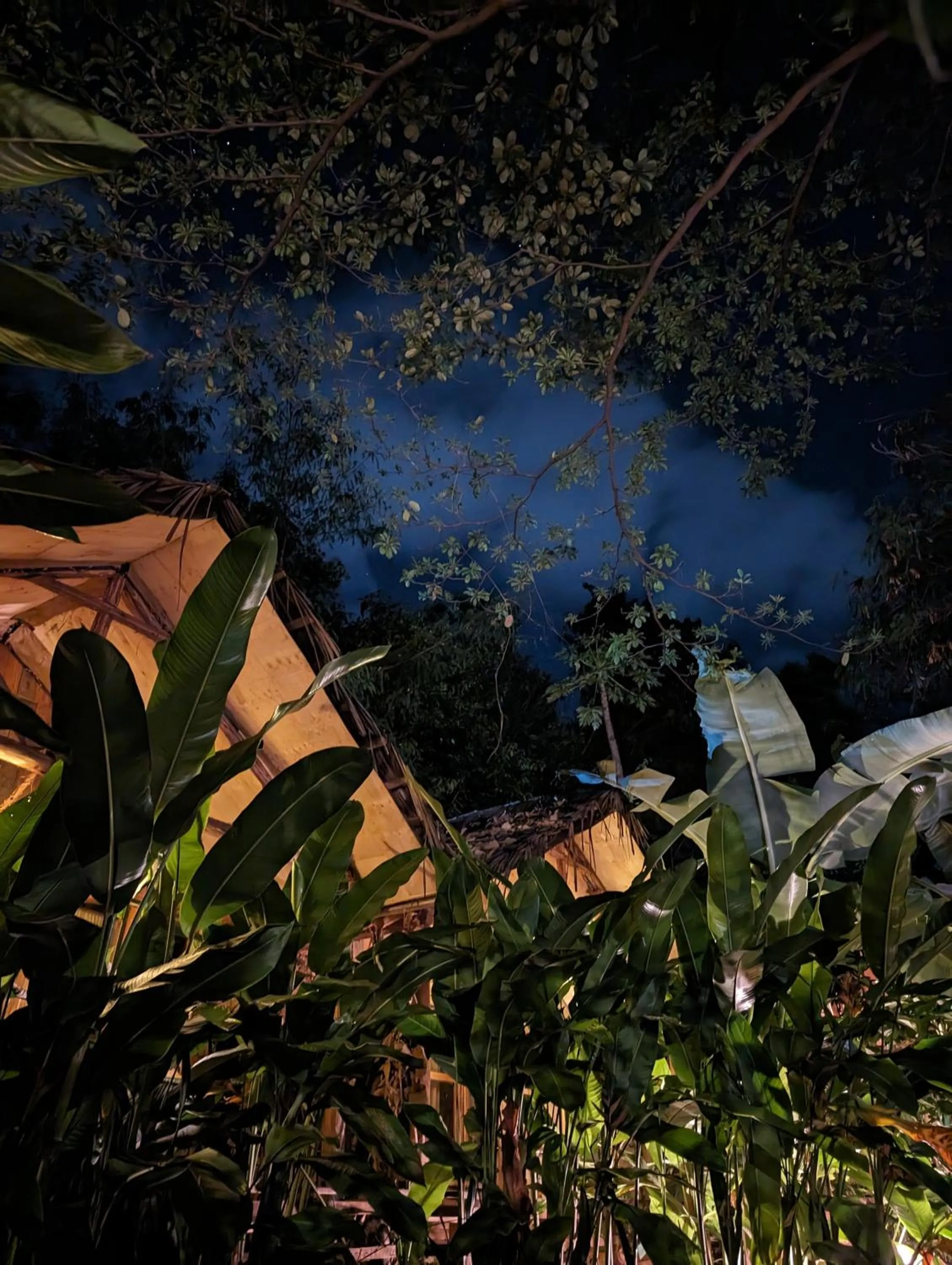 Backyard Eco Bungalows Moshi