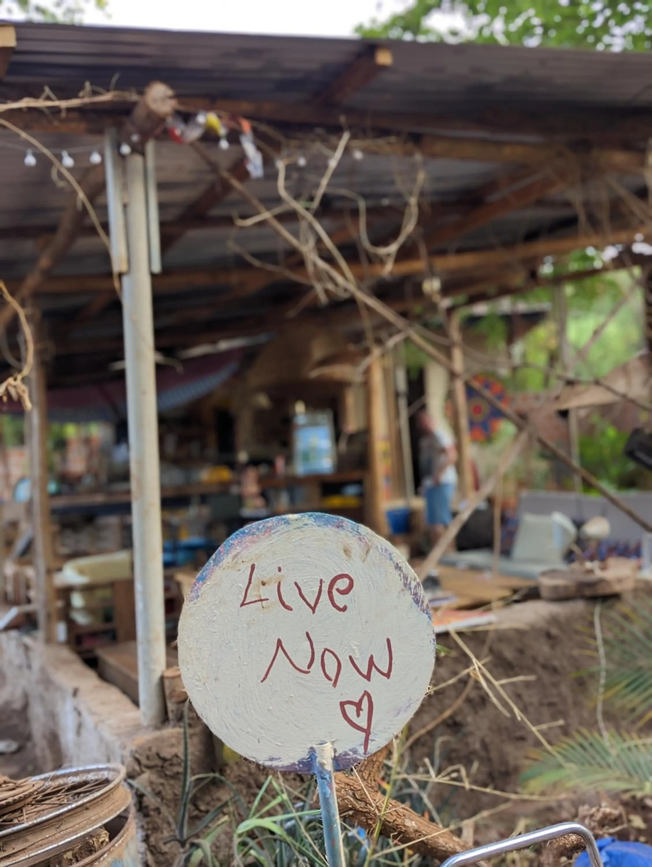 Backyard Eco Bungalows Moshi