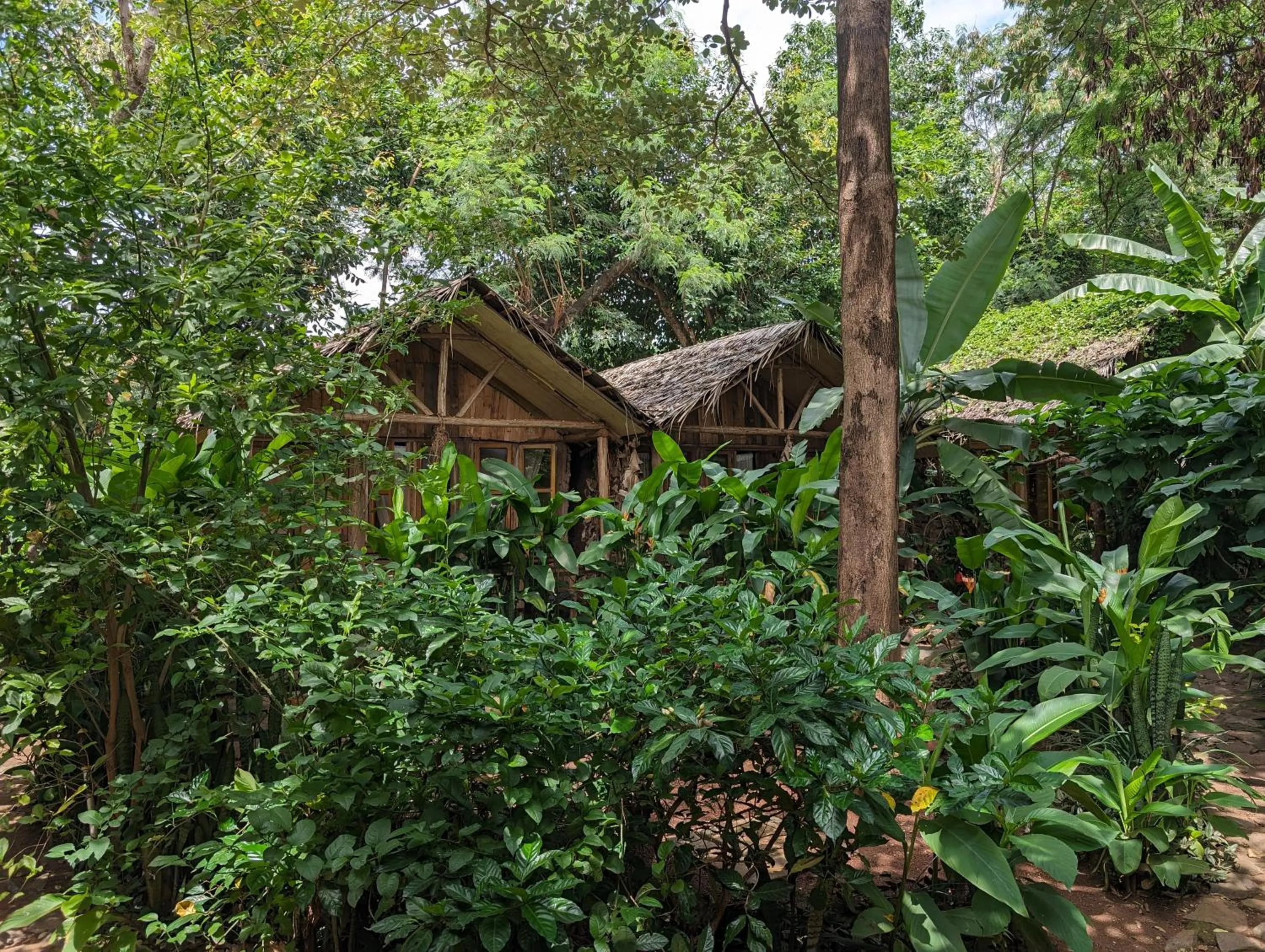 Backyard Eco Bungalows Moshi