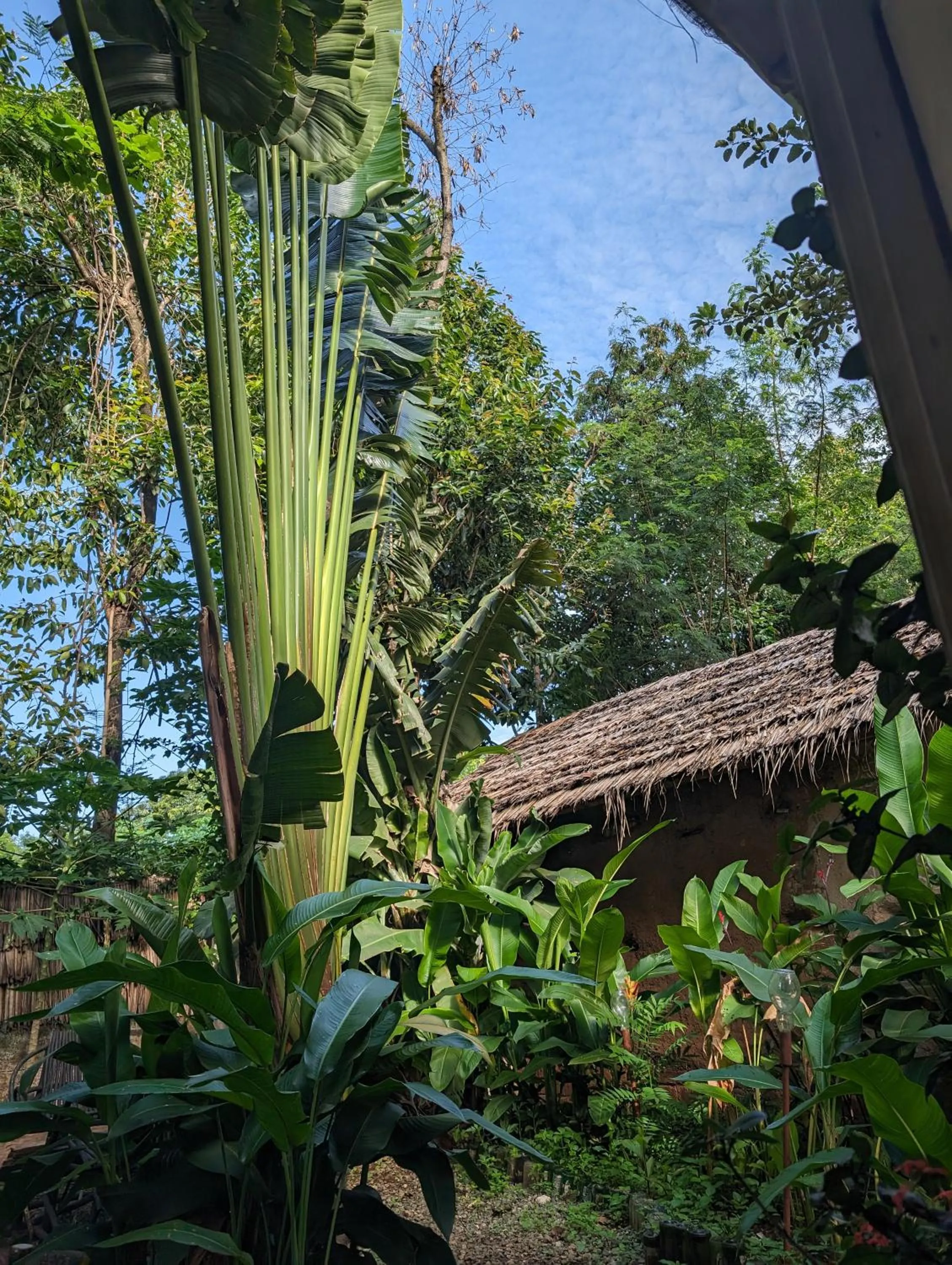 Backyard Eco Bungalows Moshi