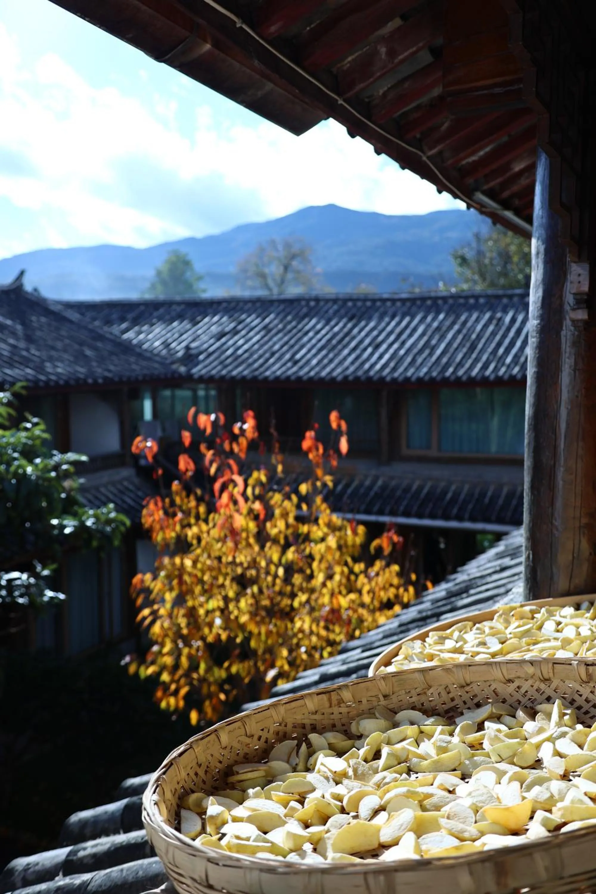 Lijiang Sadhu Inn