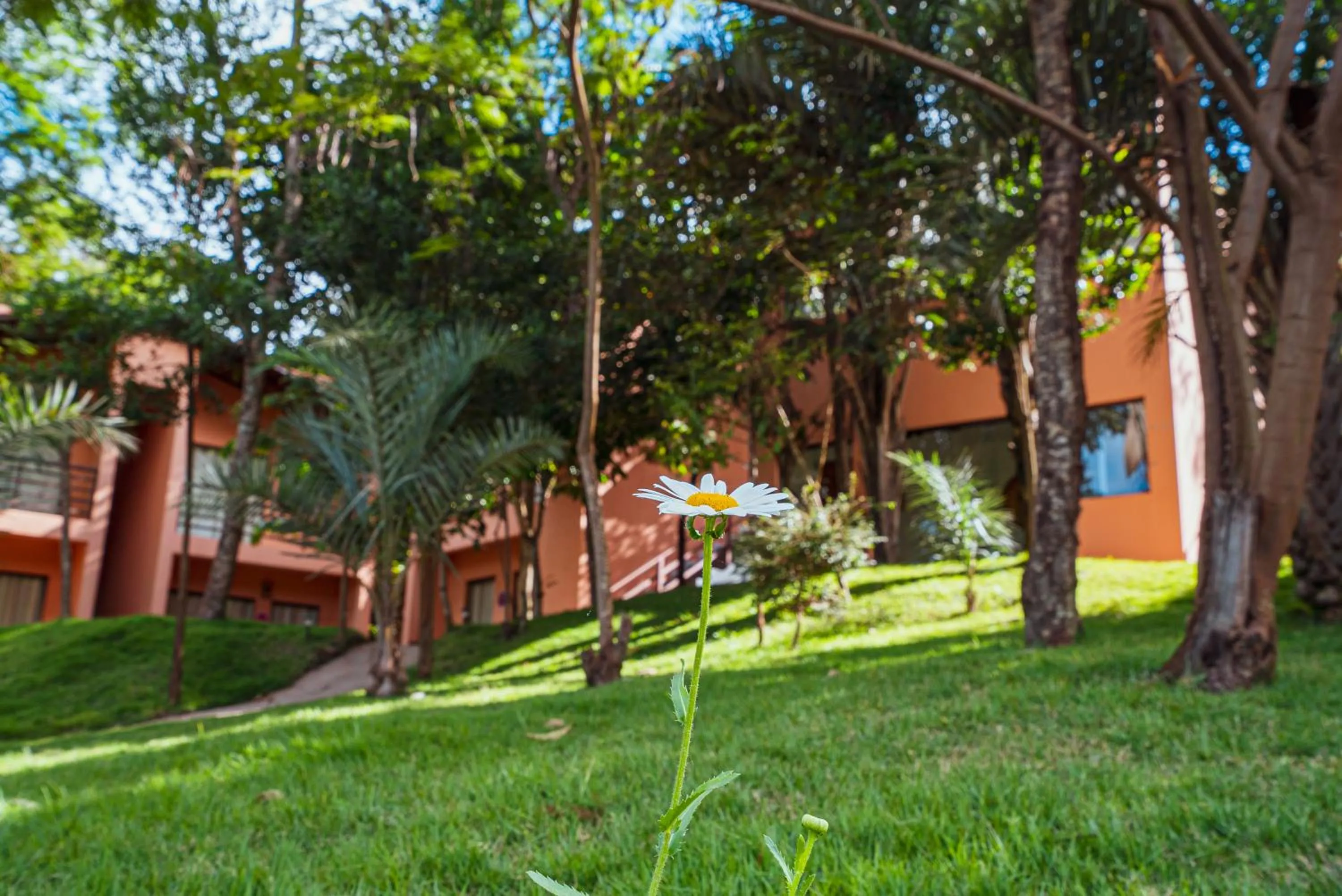 Garden in Pousada Mandala do Vale