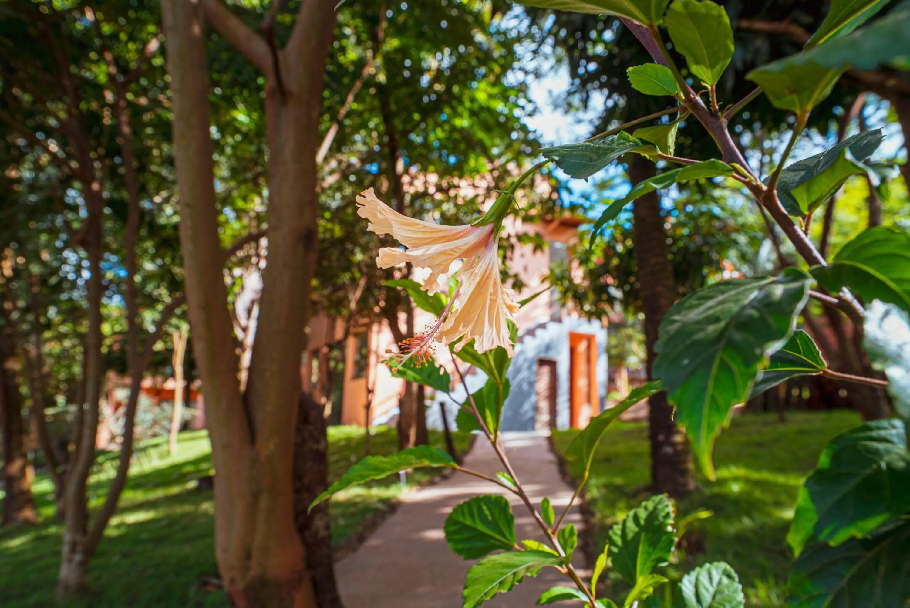 Garden in Pousada Mandala do Vale
