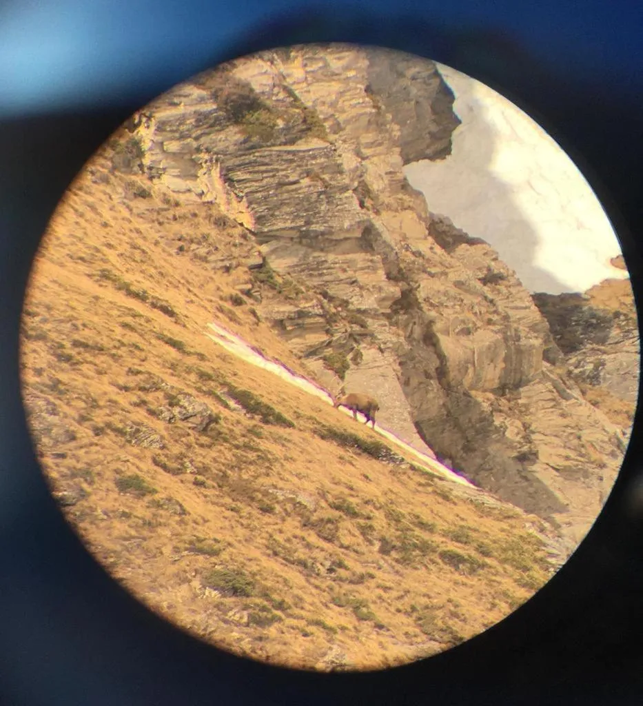 Natural landscape in Montagn'Arcs