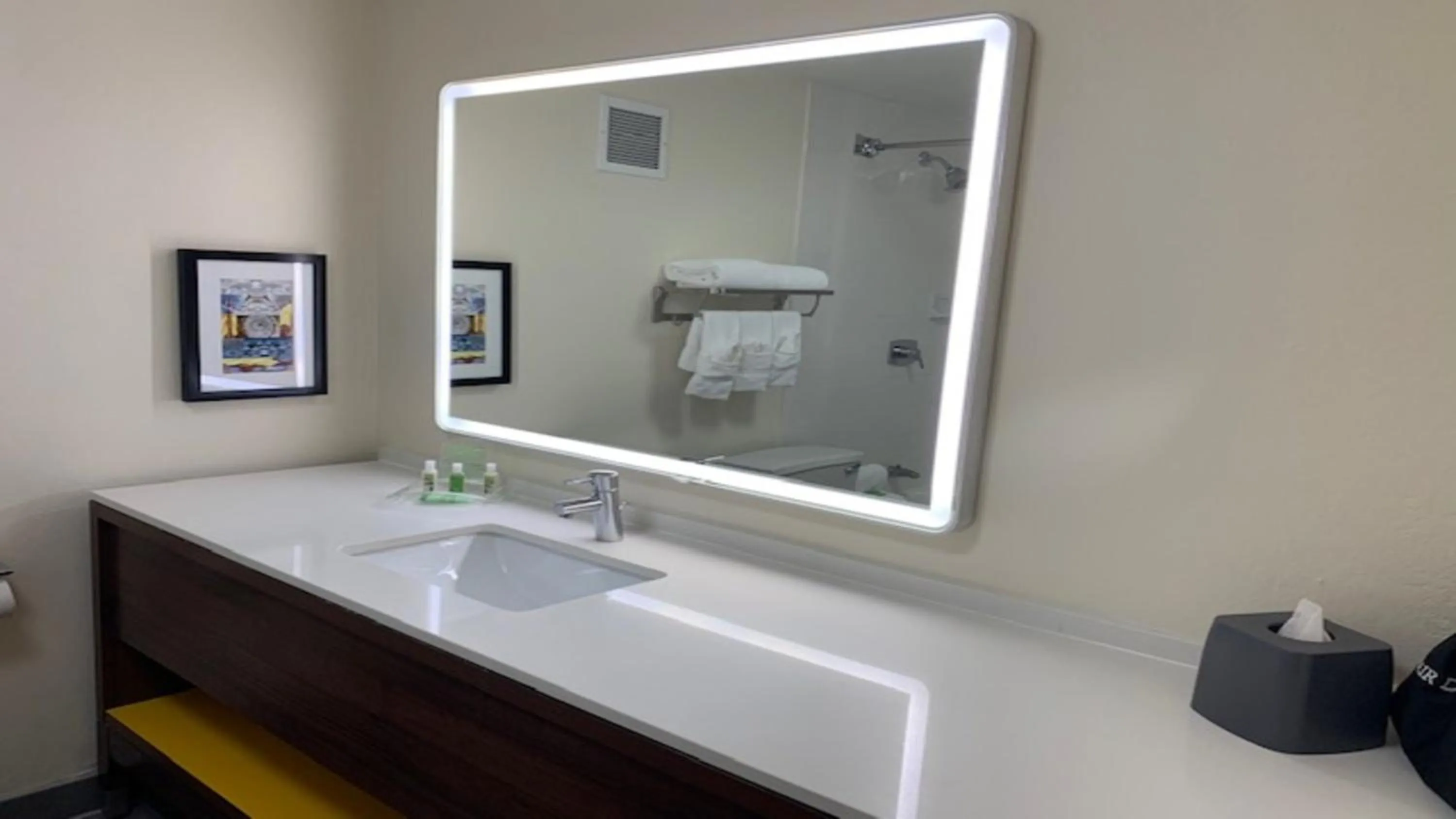 Bathroom in Holiday Inn Chicago North Shore by IHG