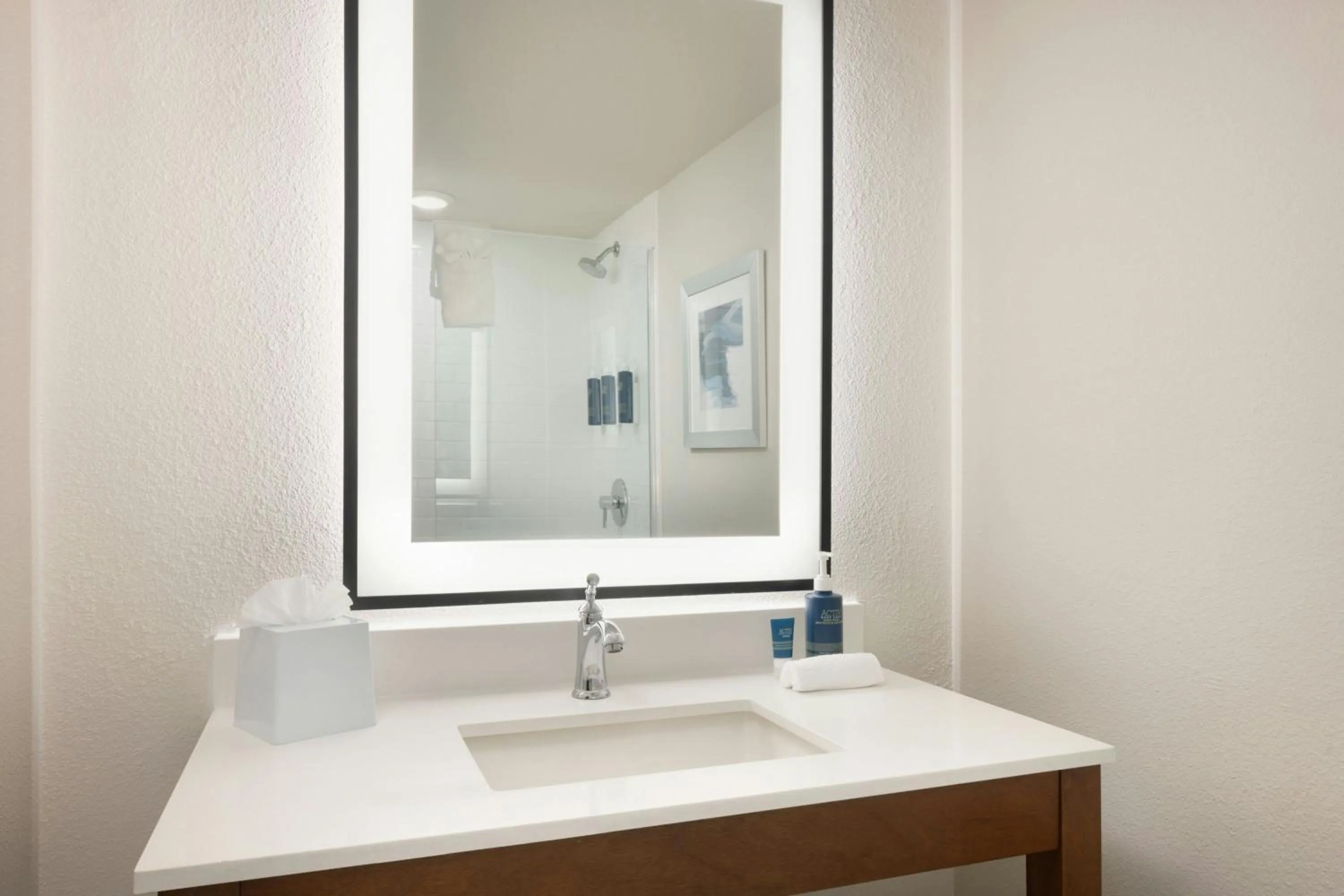 Bathroom in Four Points By Sheraton - Saginaw