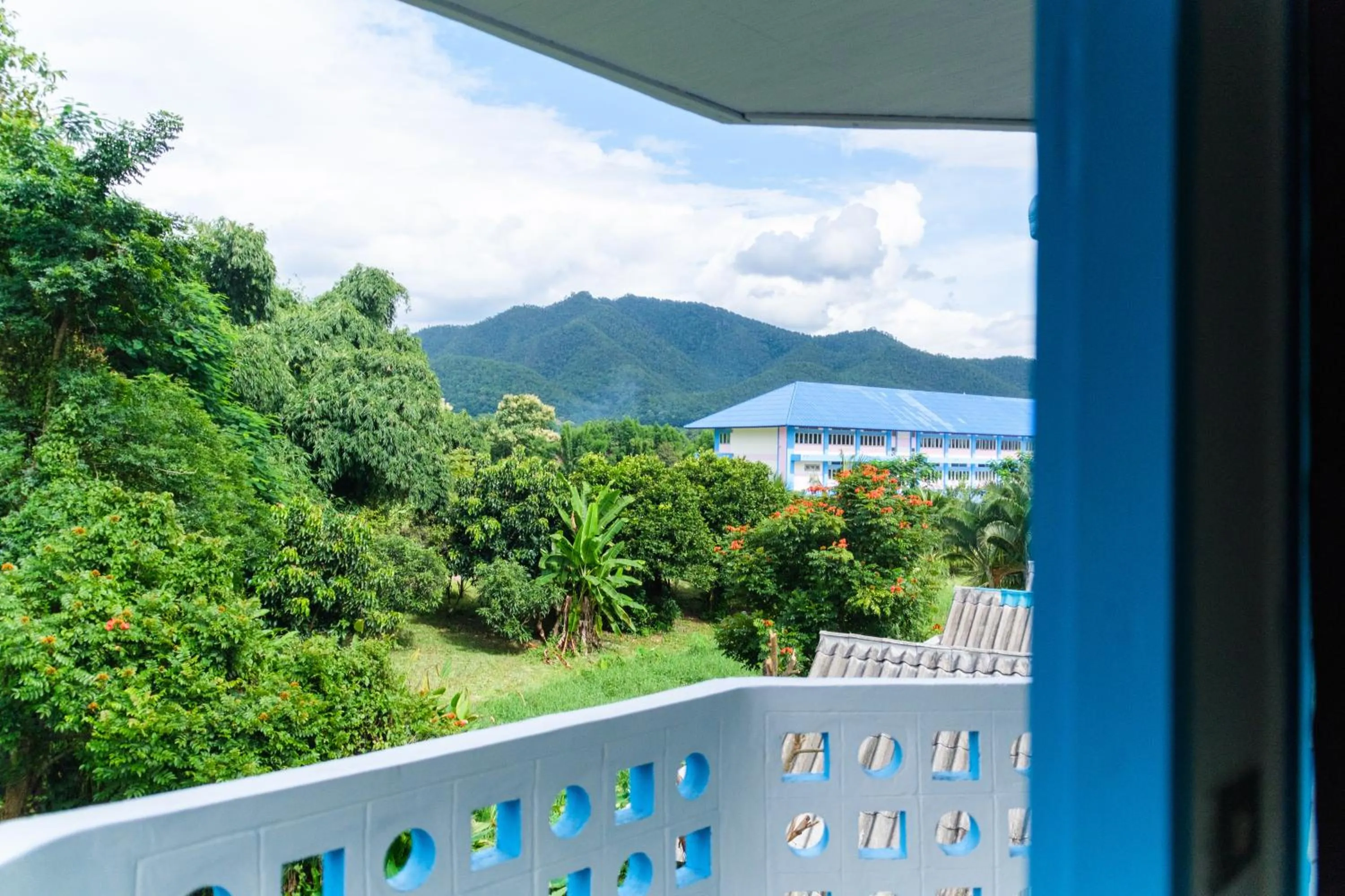 Natural landscape in Bodega Pai