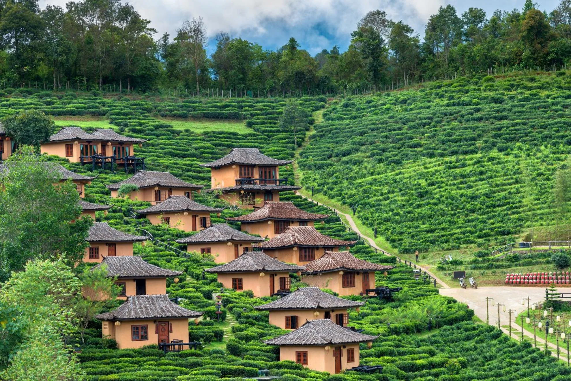 Natural landscape in Bodega Pai