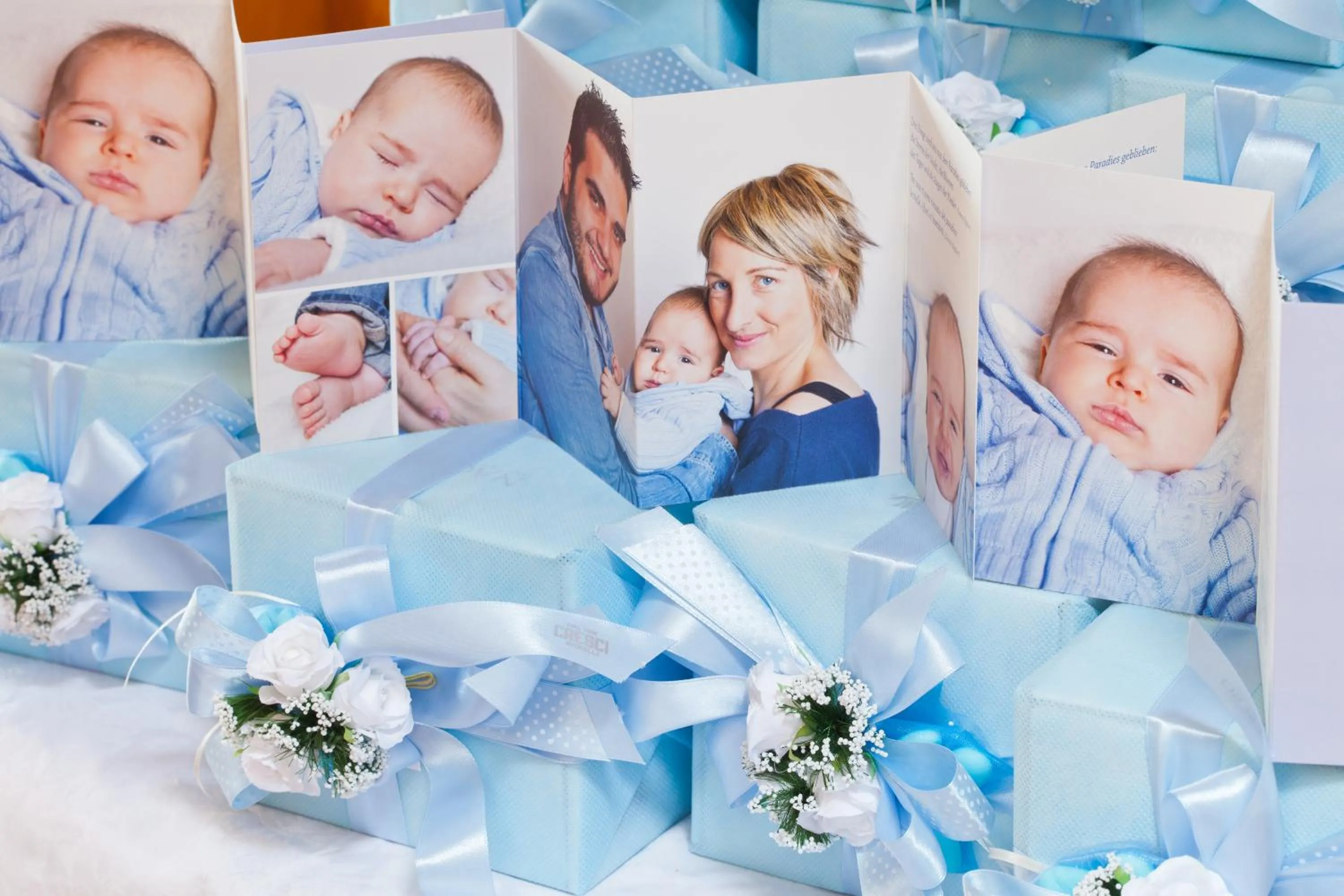 Business facilities in Hotel Chalet Olympia