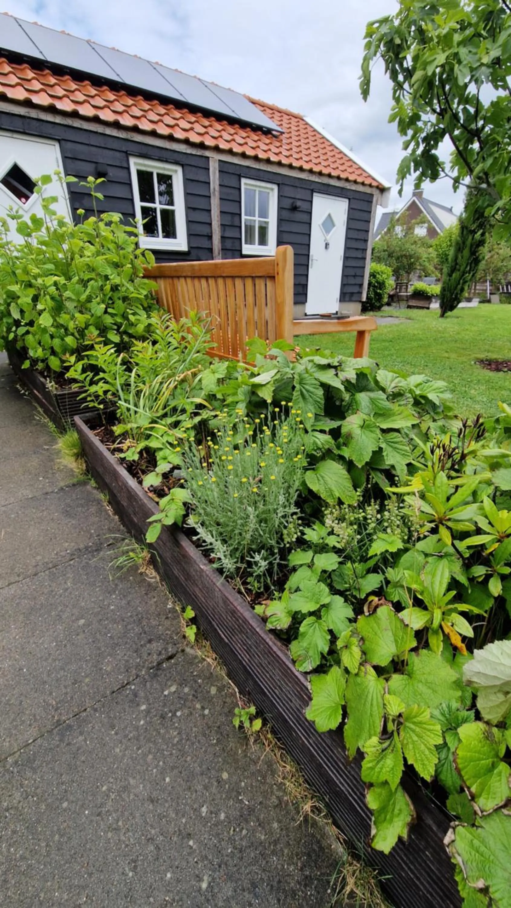 Garden in Bed & Breakfast Donna