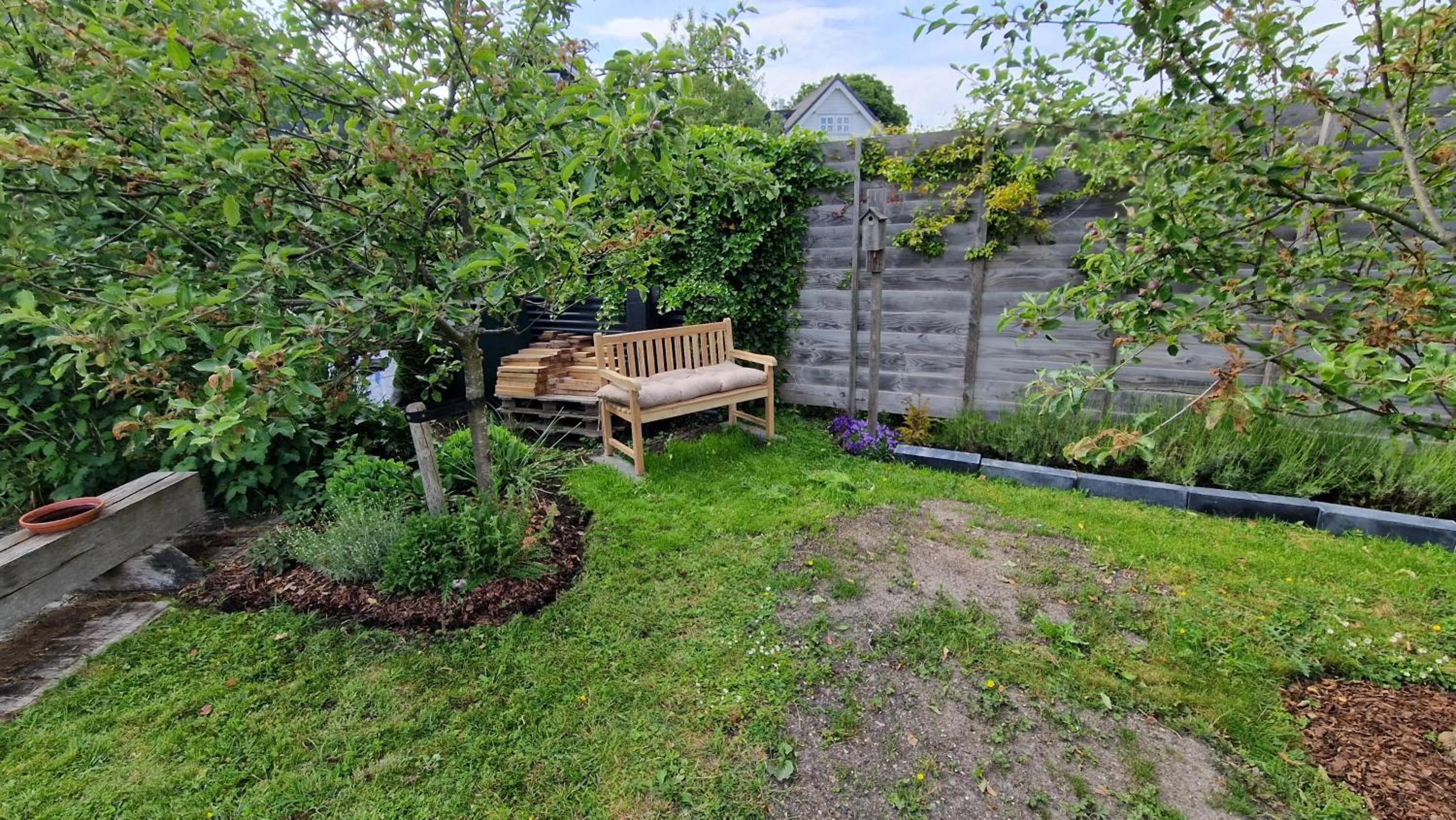 Bed & Breakfast Donna