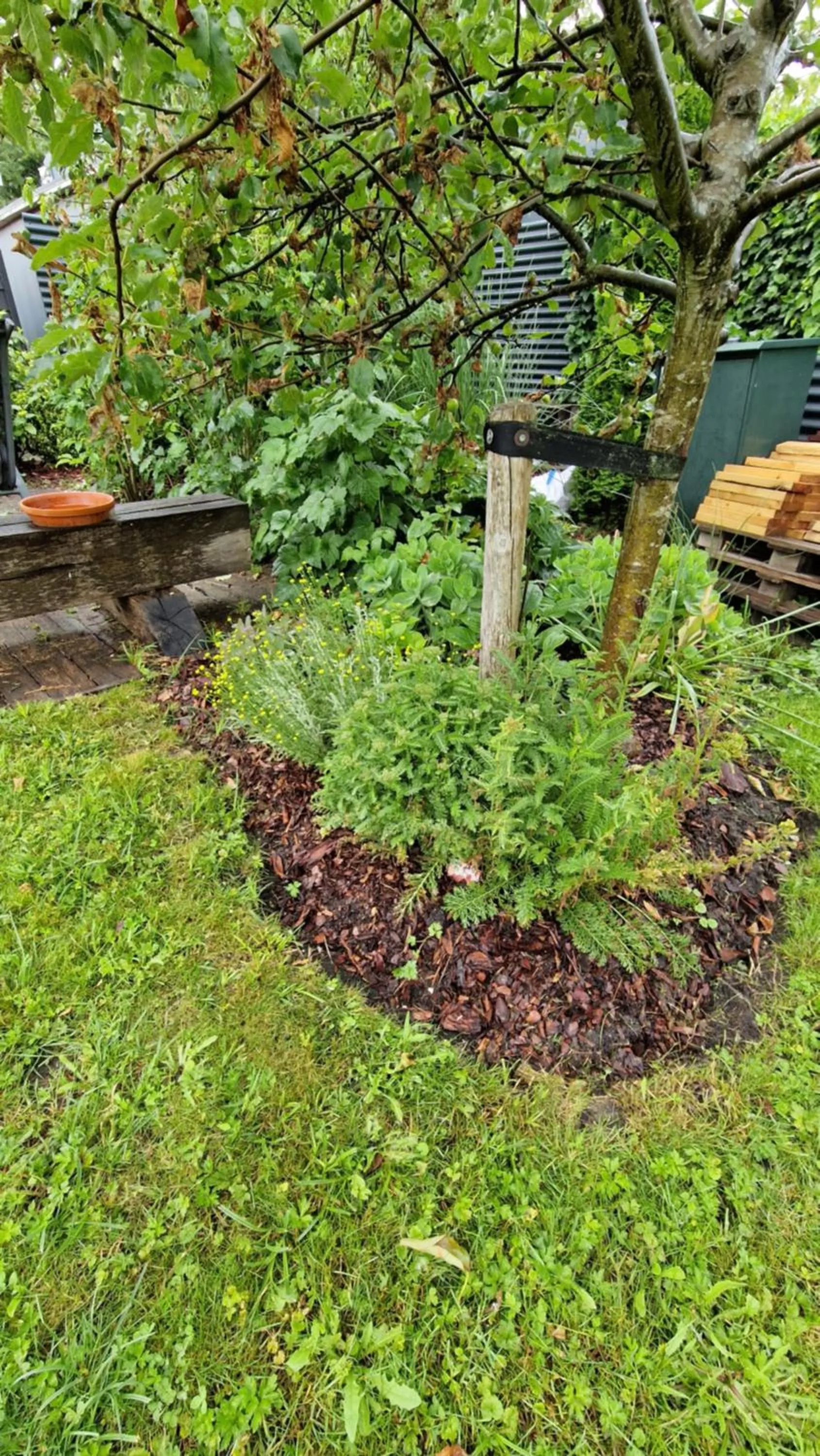 Garden in Bed & Breakfast Donna