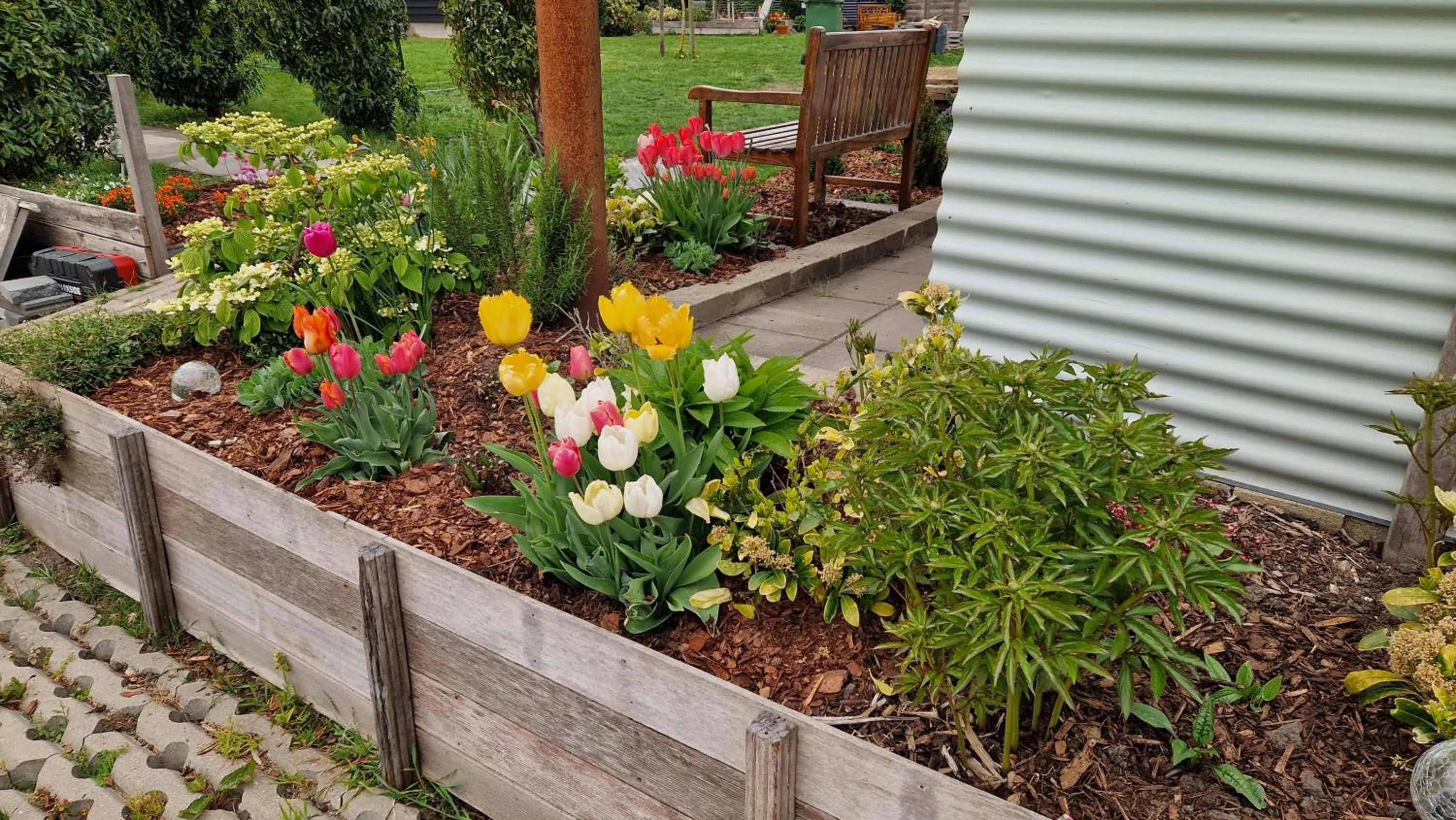 Bed & Breakfast Donna