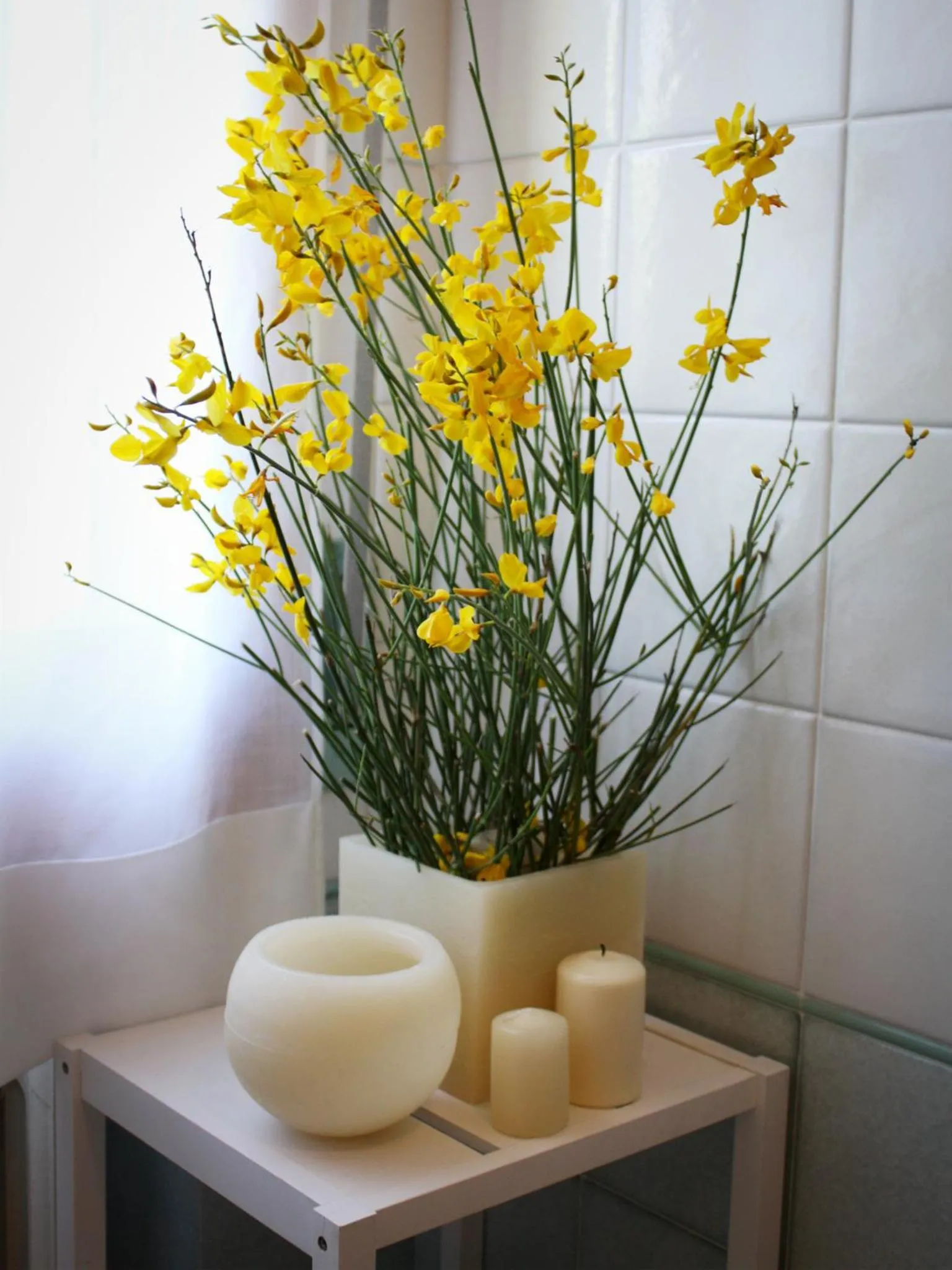 Bathroom in Bed And Breakfast 22 Garibaldi Home