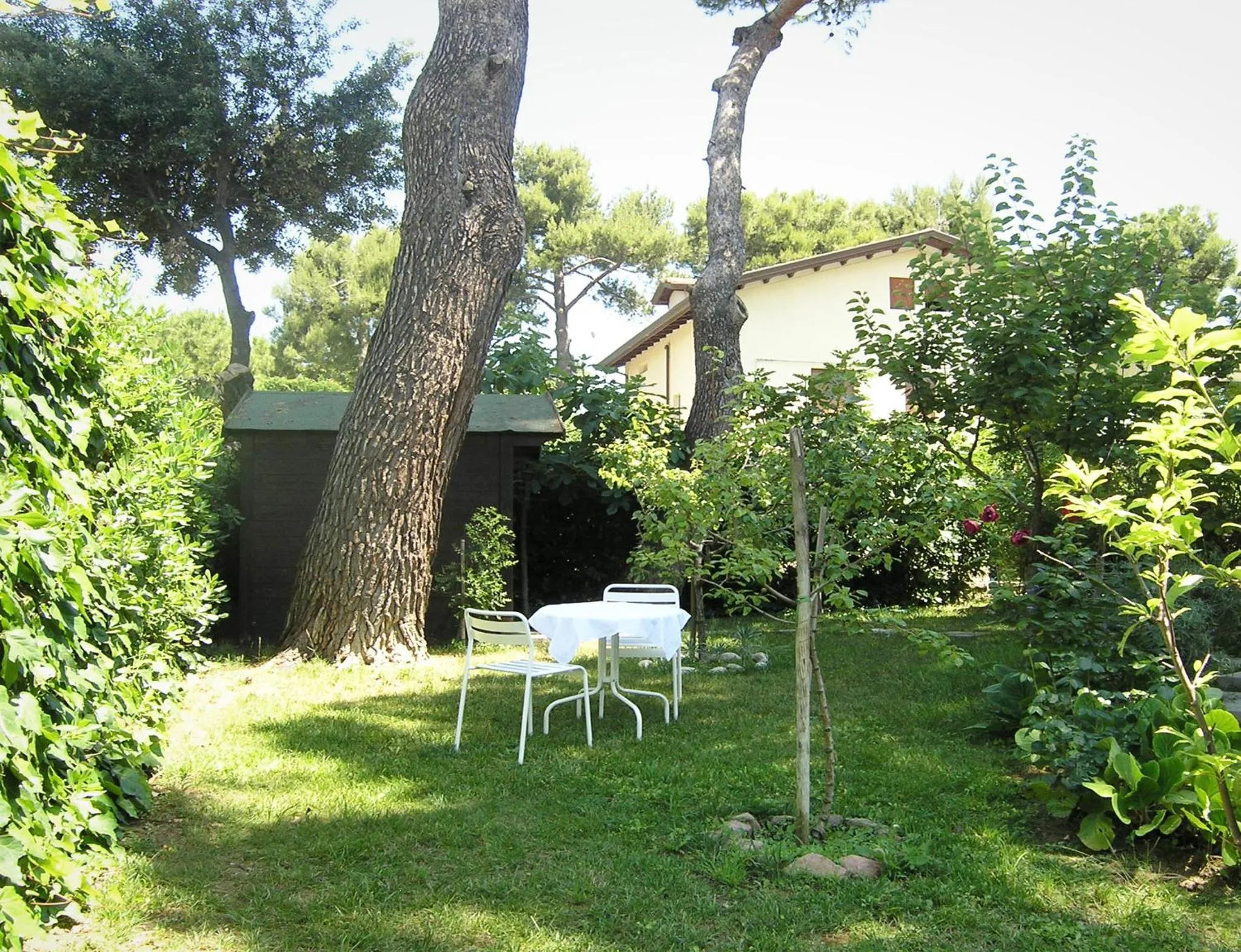 Garden in Bed And Breakfast 22 Garibaldi Home