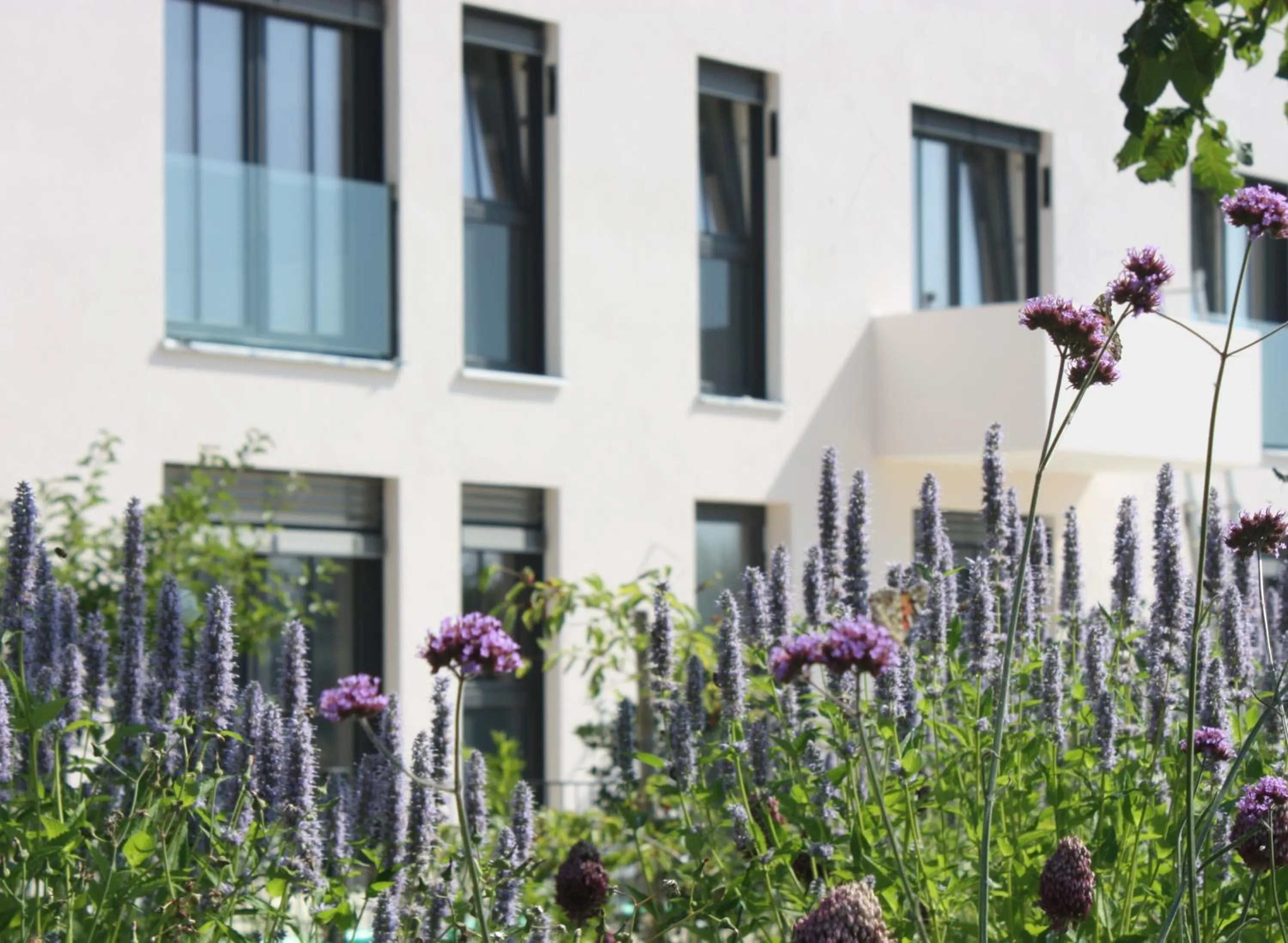 Property building in HAIMHAUSERS Hotel Garni