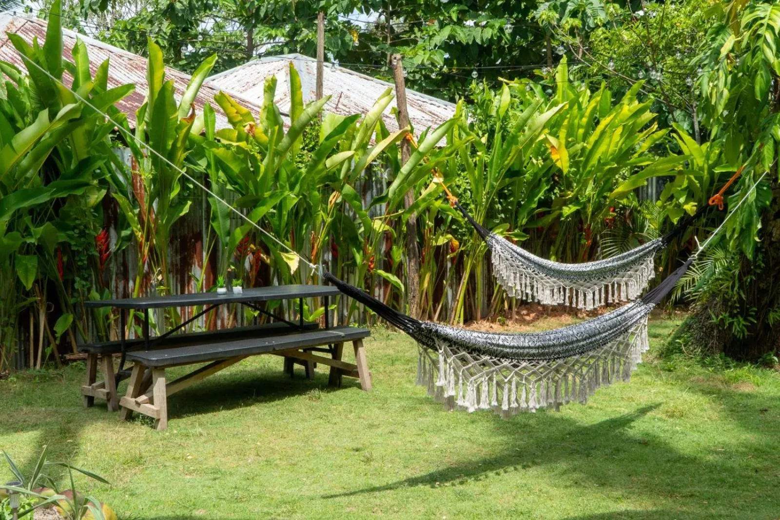 Garden in FOREVER SIARGAO