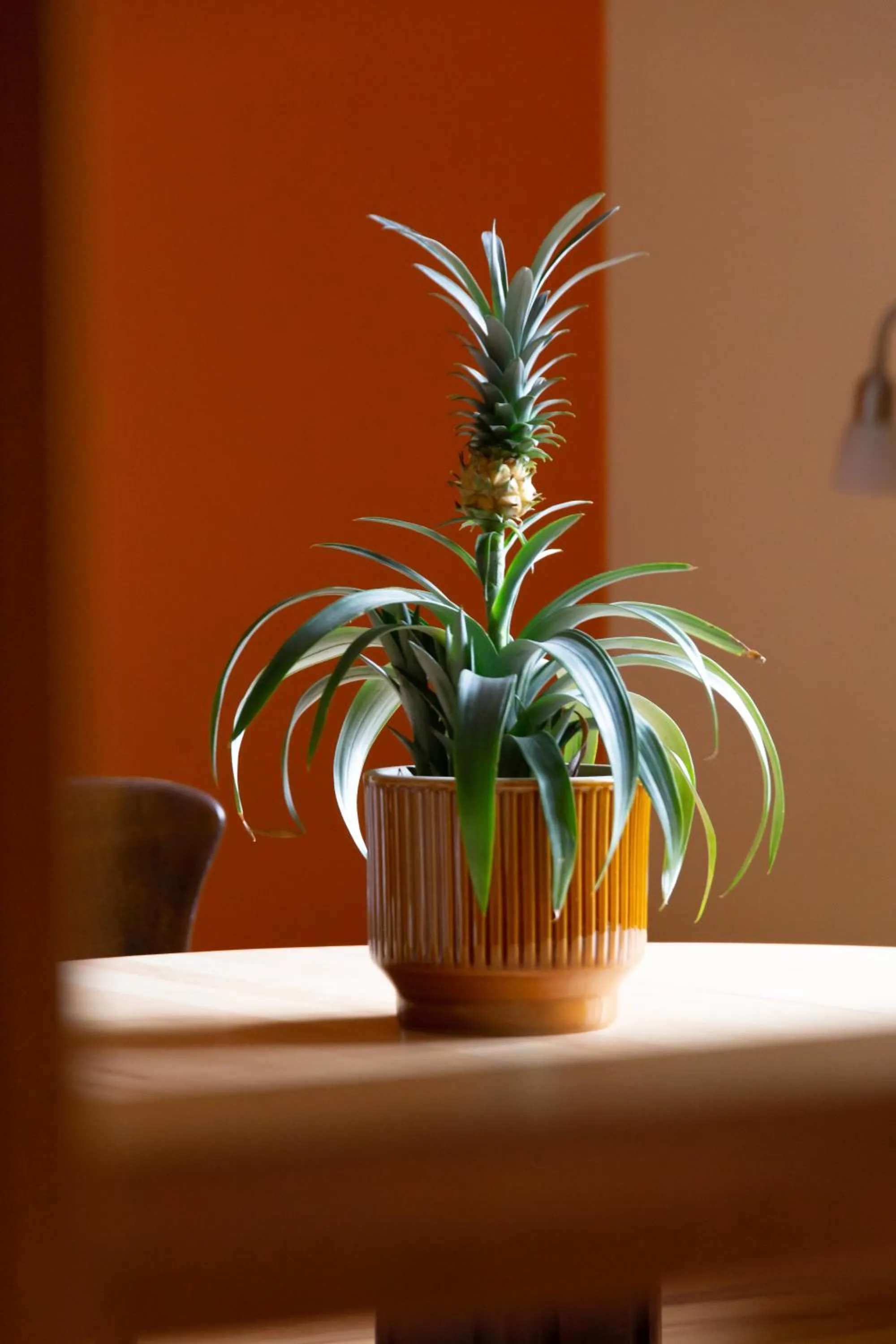 Seating area in Schanzenstern Altona GmbH