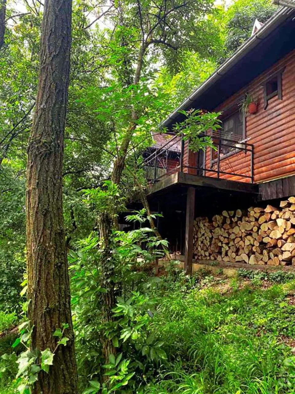 Property building in Ranč Platan - smeštaj u Nacionalnom parku Fruška gora