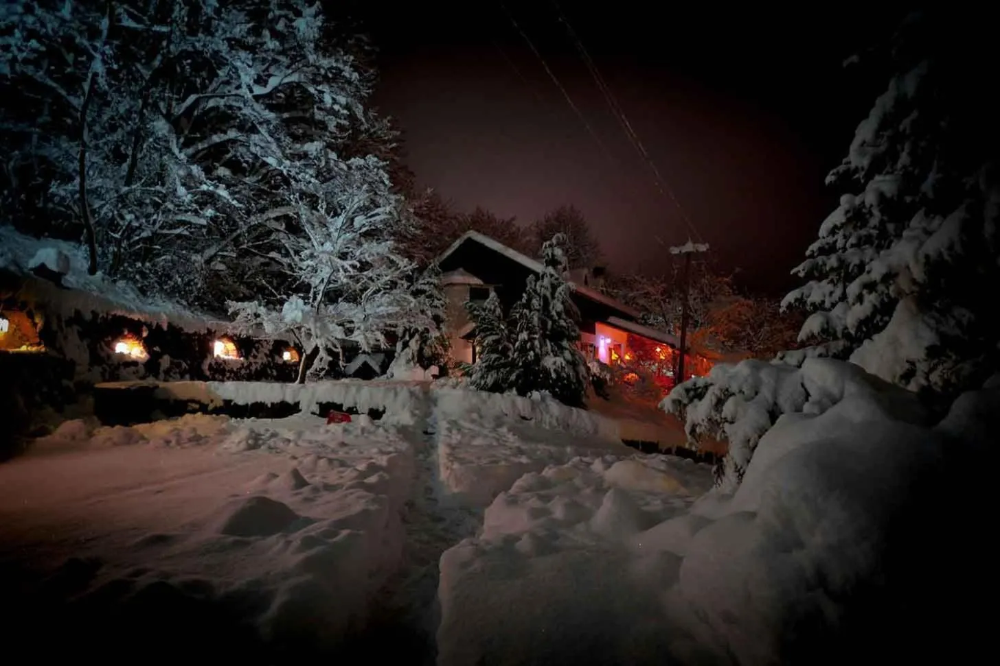 Garden view in Ranč Platan - smeštaj u Nacionalnom parku Fruška gora