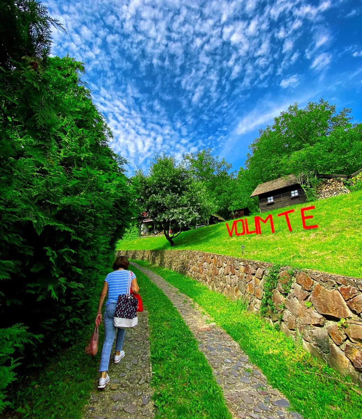 Garden view in Ranč Platan - smeštaj u Nacionalnom parku Fruška gora