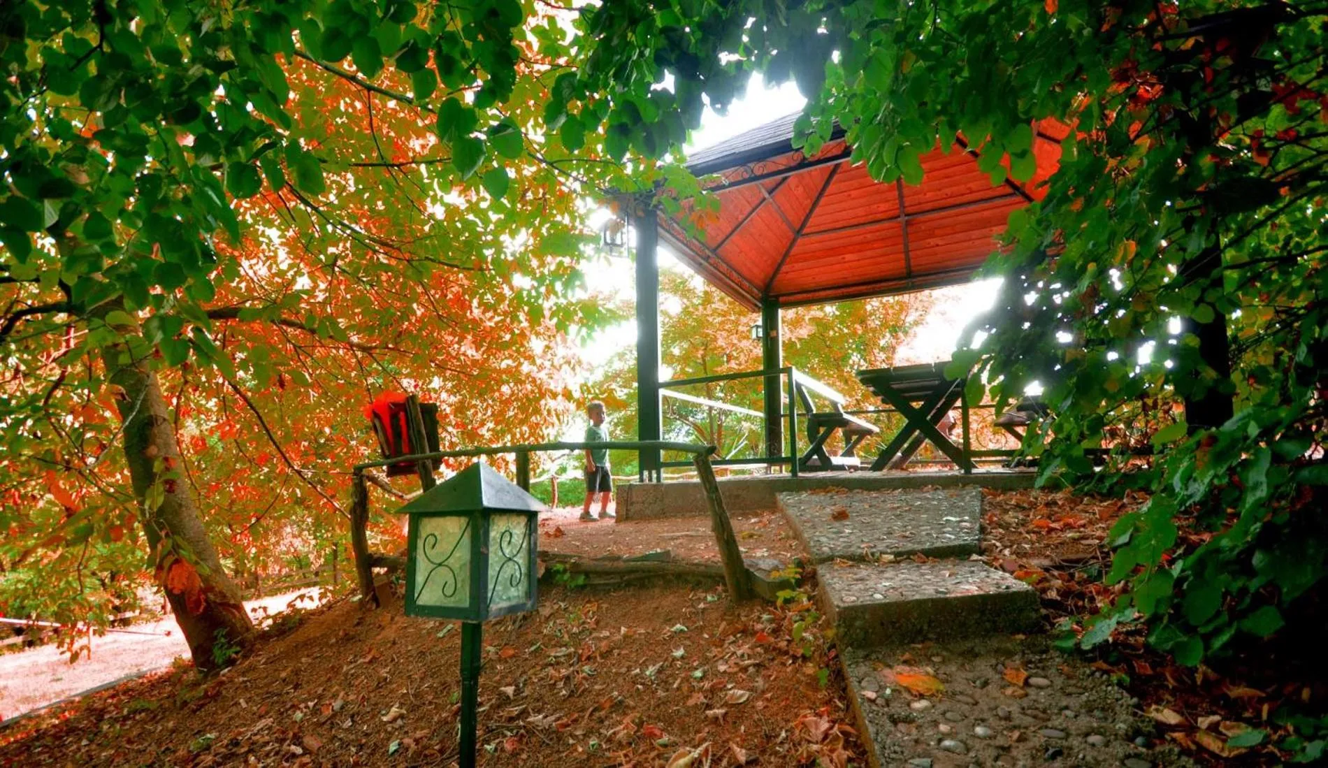 Mountain view in Ranč Platan - smeštaj u Nacionalnom parku Fruška gora
