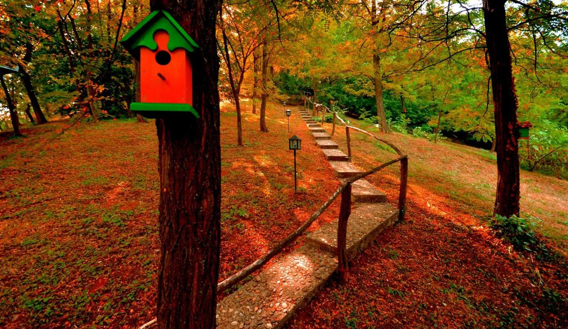 Autumn in Ranč Platan - smeštaj u Nacionalnom parku Fruška gora