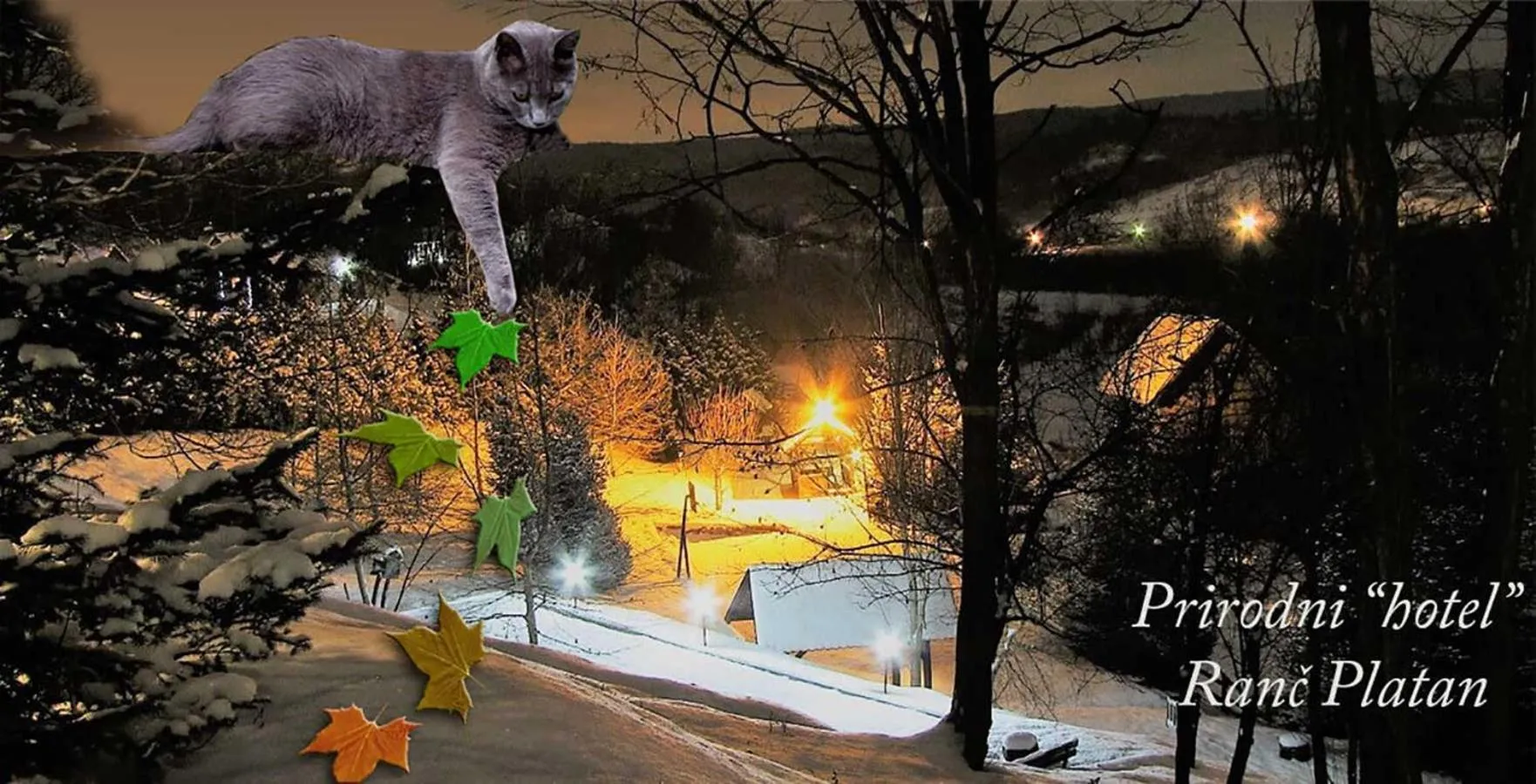 Pets in Ranč Platan - smeštaj u Nacionalnom parku Fruška gora