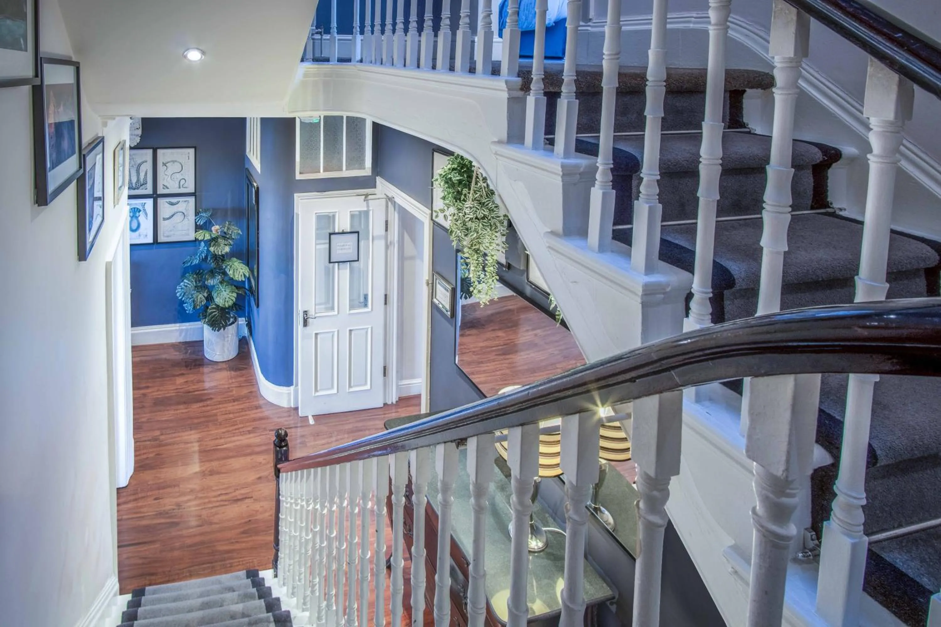 Lobby or reception in The Helaina