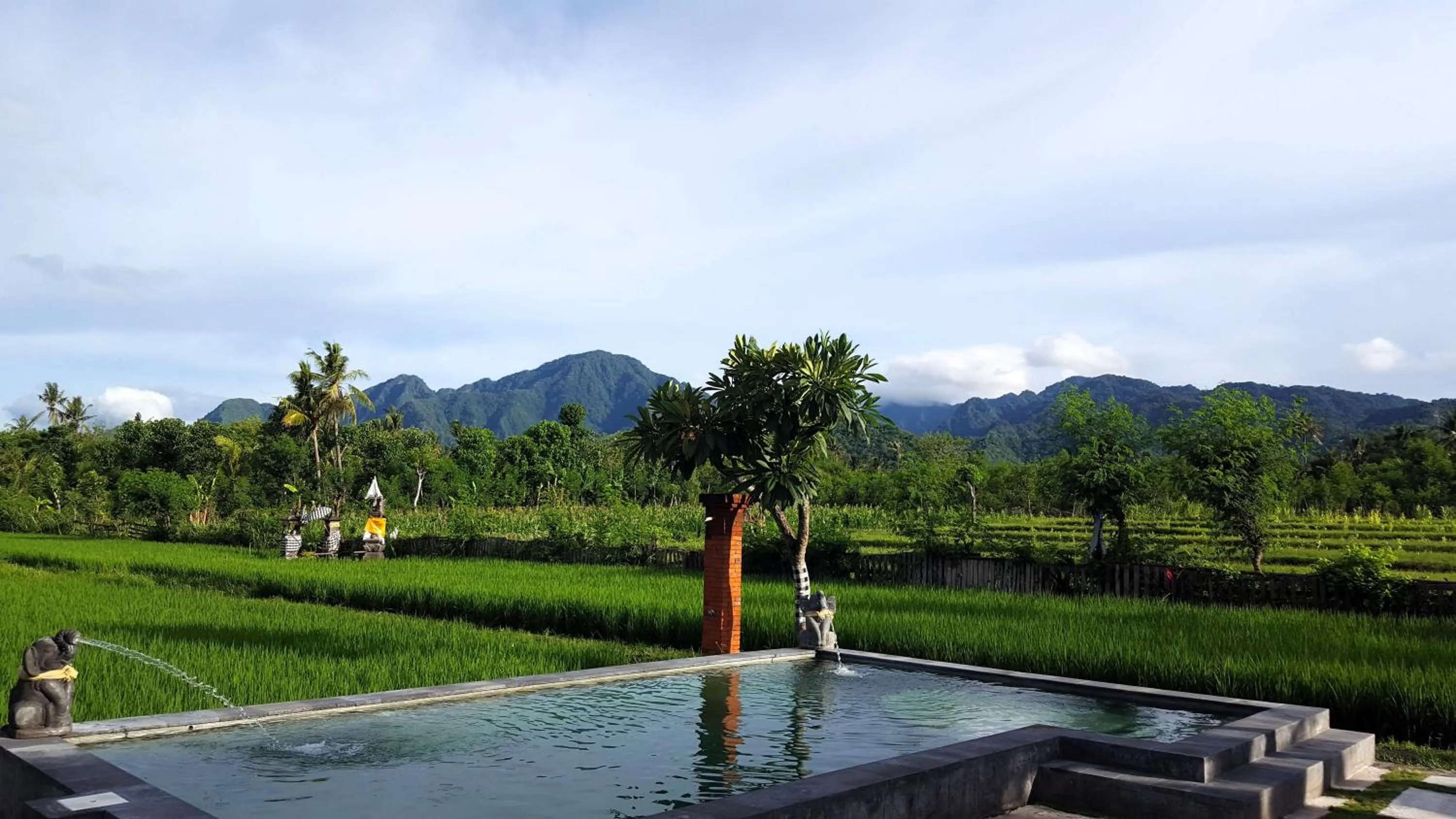 Natural landscape in Umma Bali Menjangan Retreat