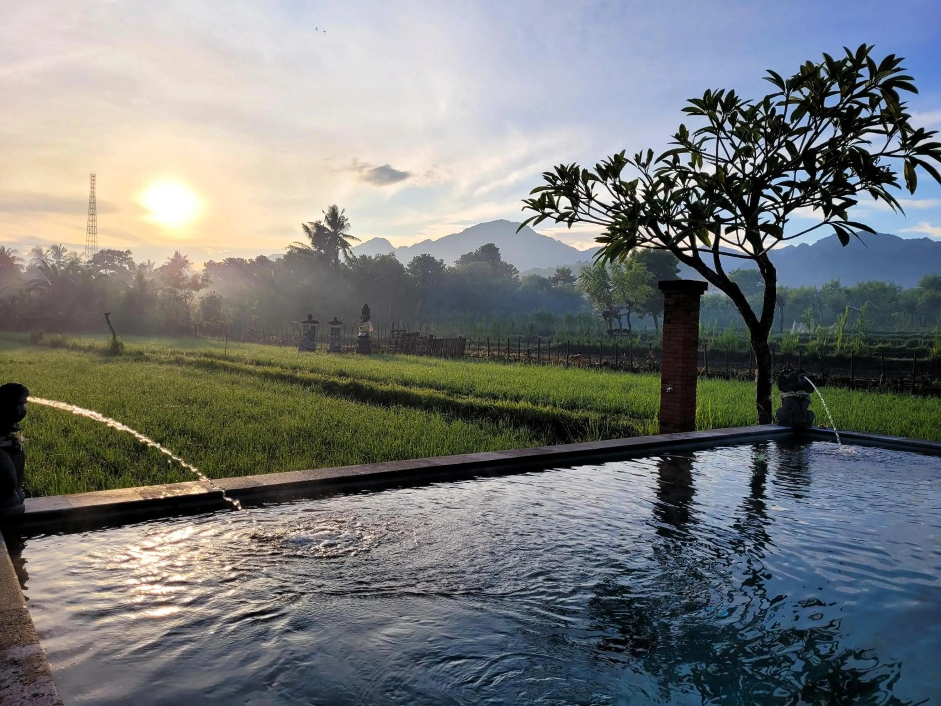 Natural landscape in Umma Bali Menjangan Retreat