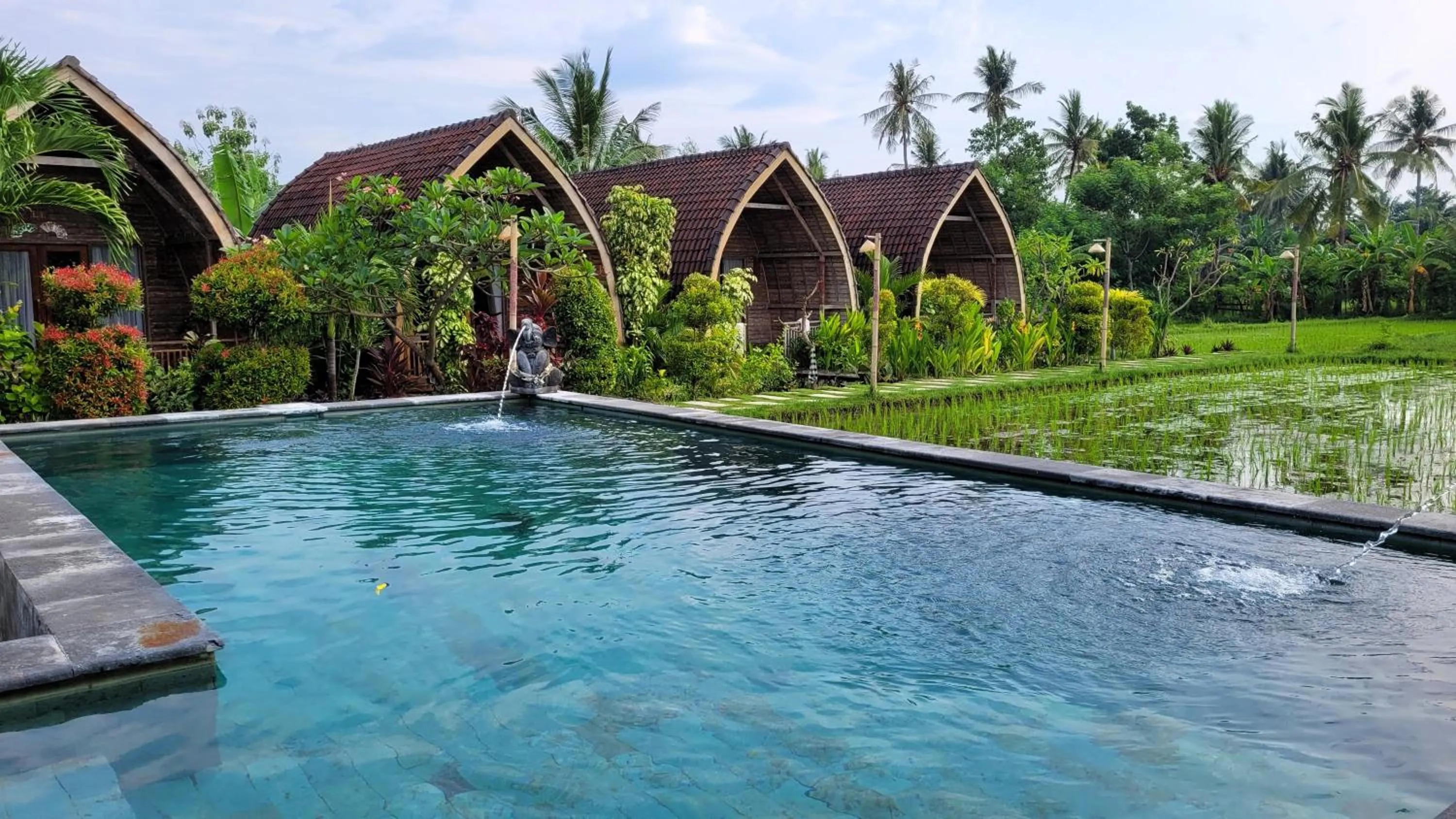 Swimming pool in Umma Bali Menjangan Retreat