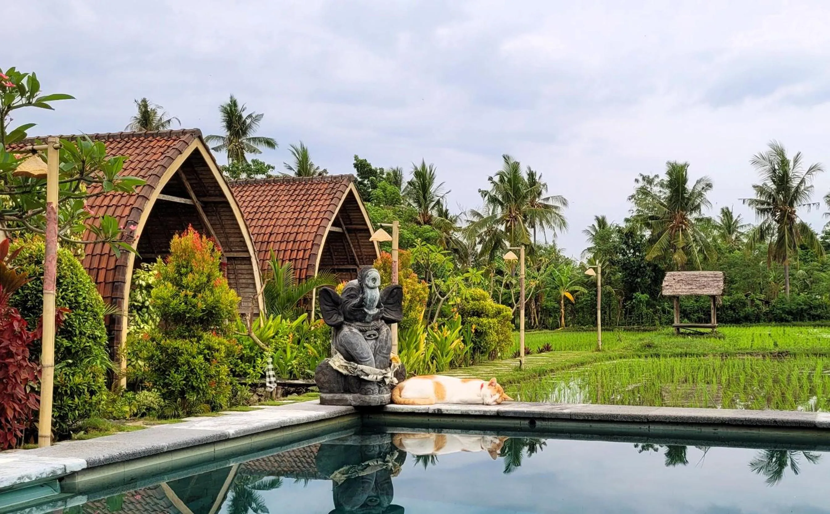 Natural landscape in Umma Bali Menjangan Retreat