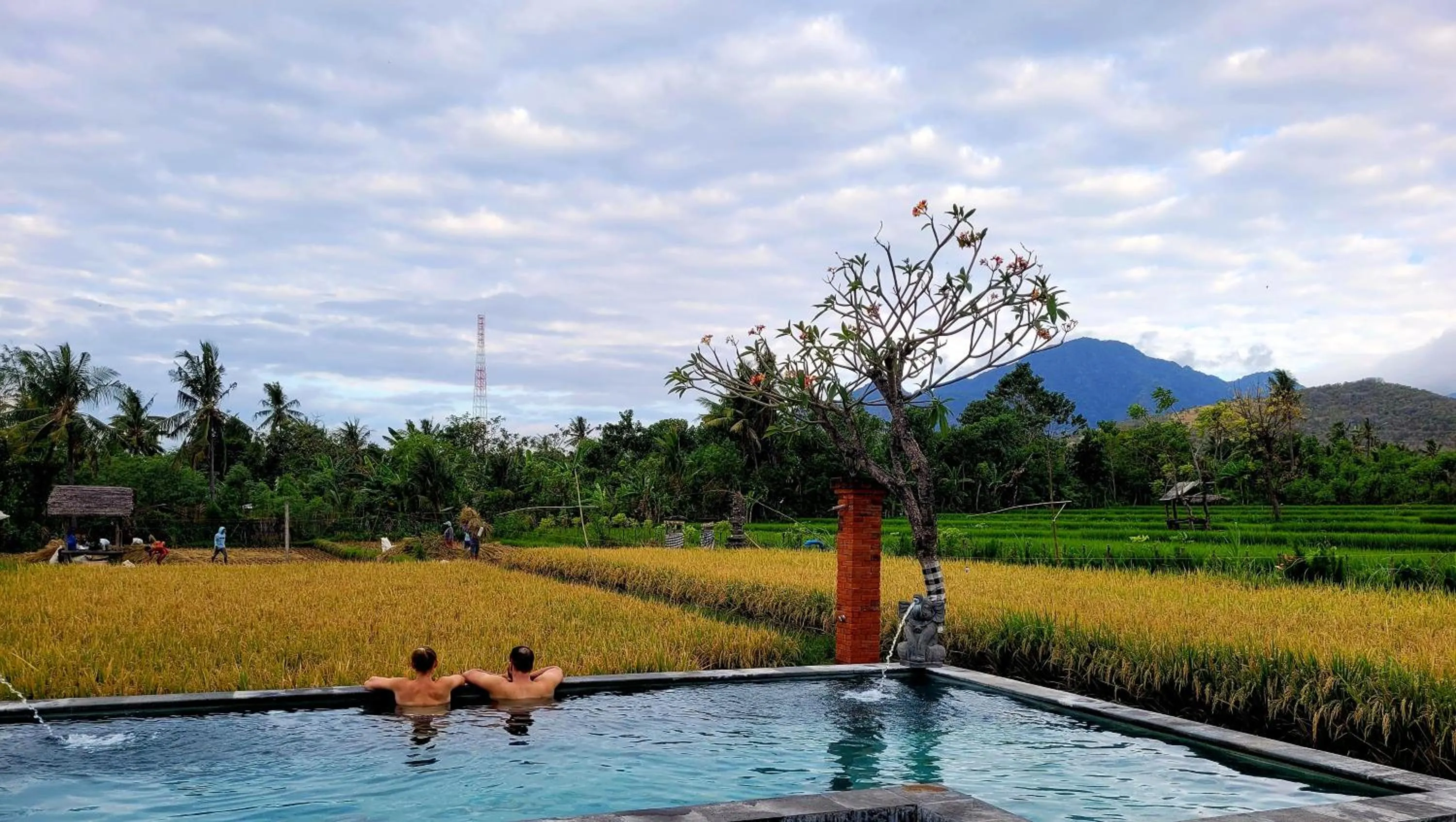 Day in Umma Bali Menjangan Retreat