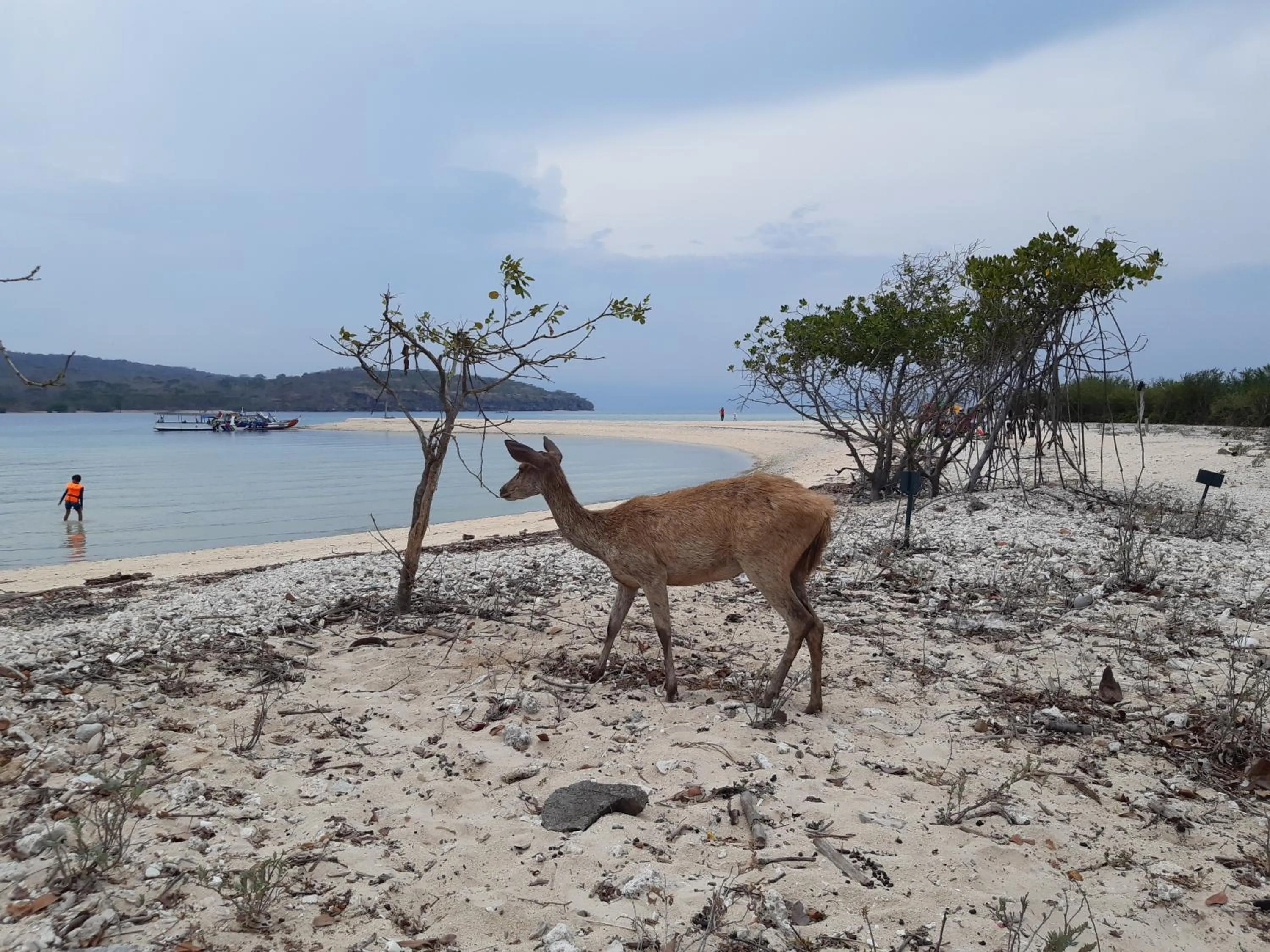 Other in Umma Bali Menjangan Retreat