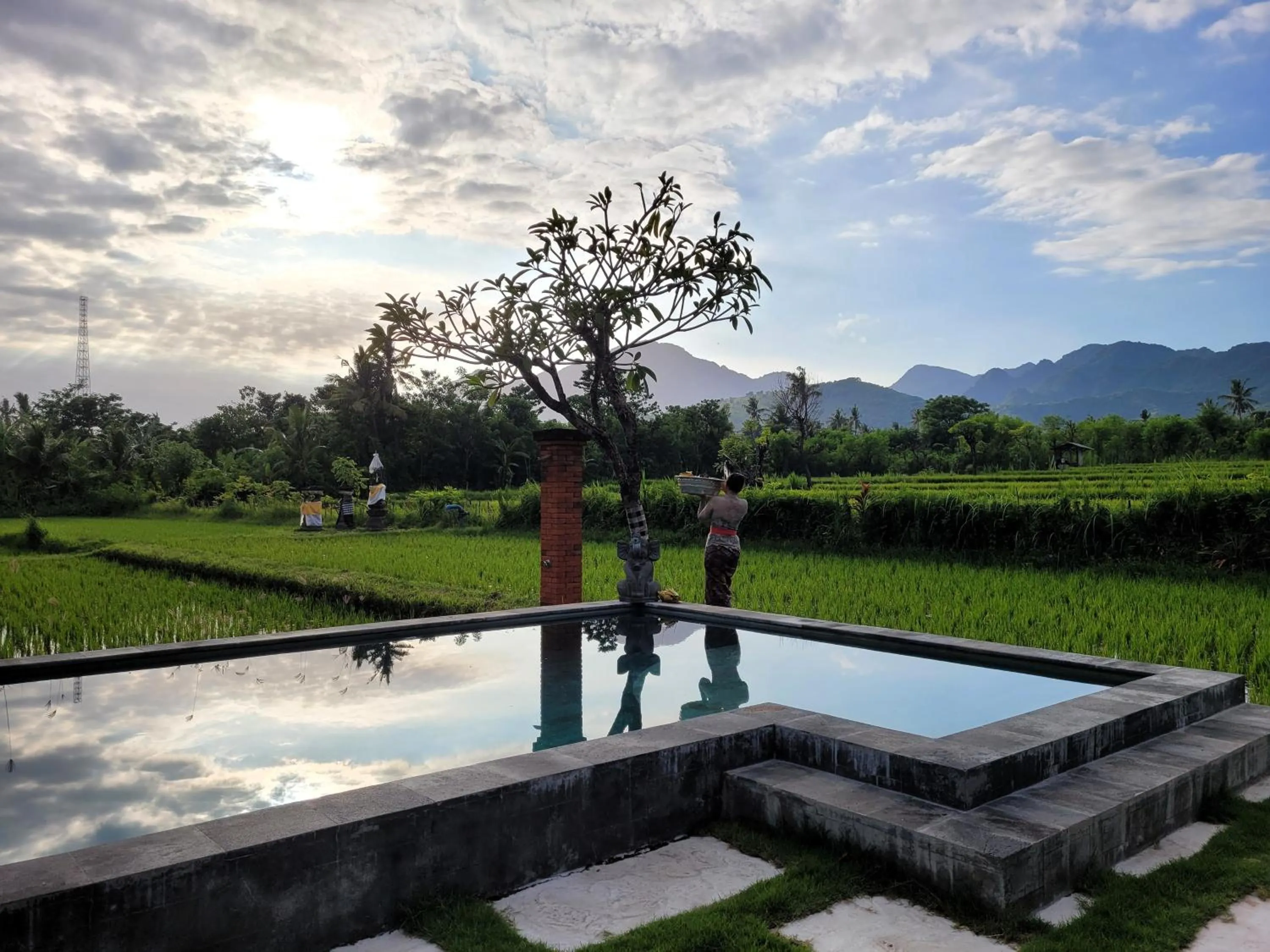 Natural landscape in Umma Bali Menjangan Retreat