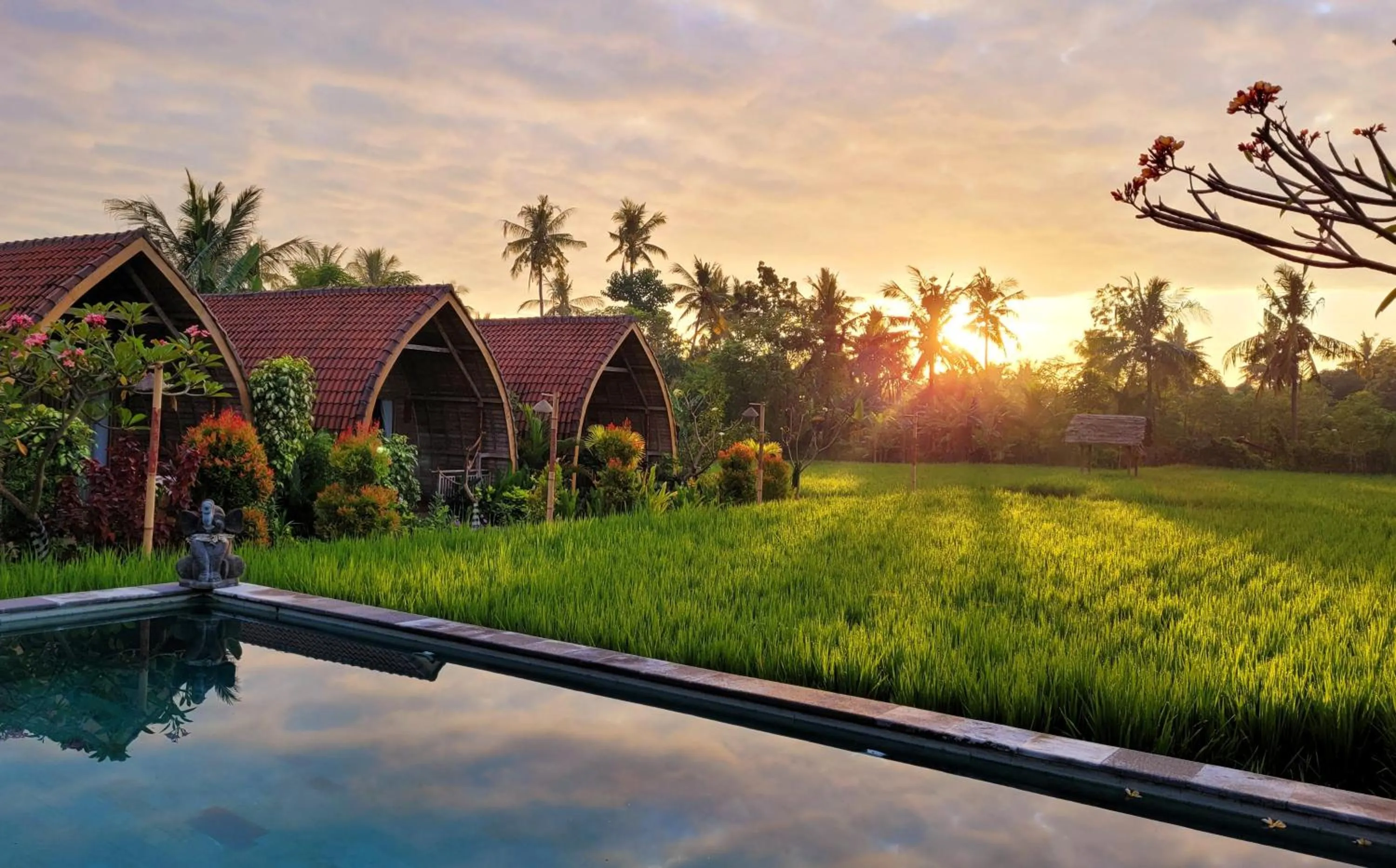 Natural landscape in Umma Bali Menjangan Retreat