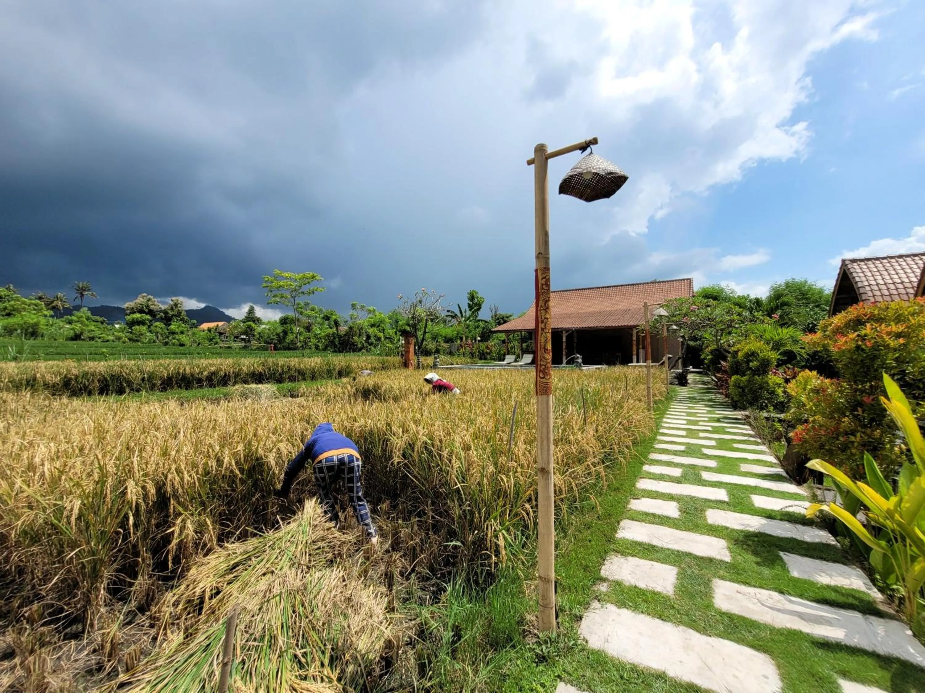 Day in Umma Bali Menjangan Retreat