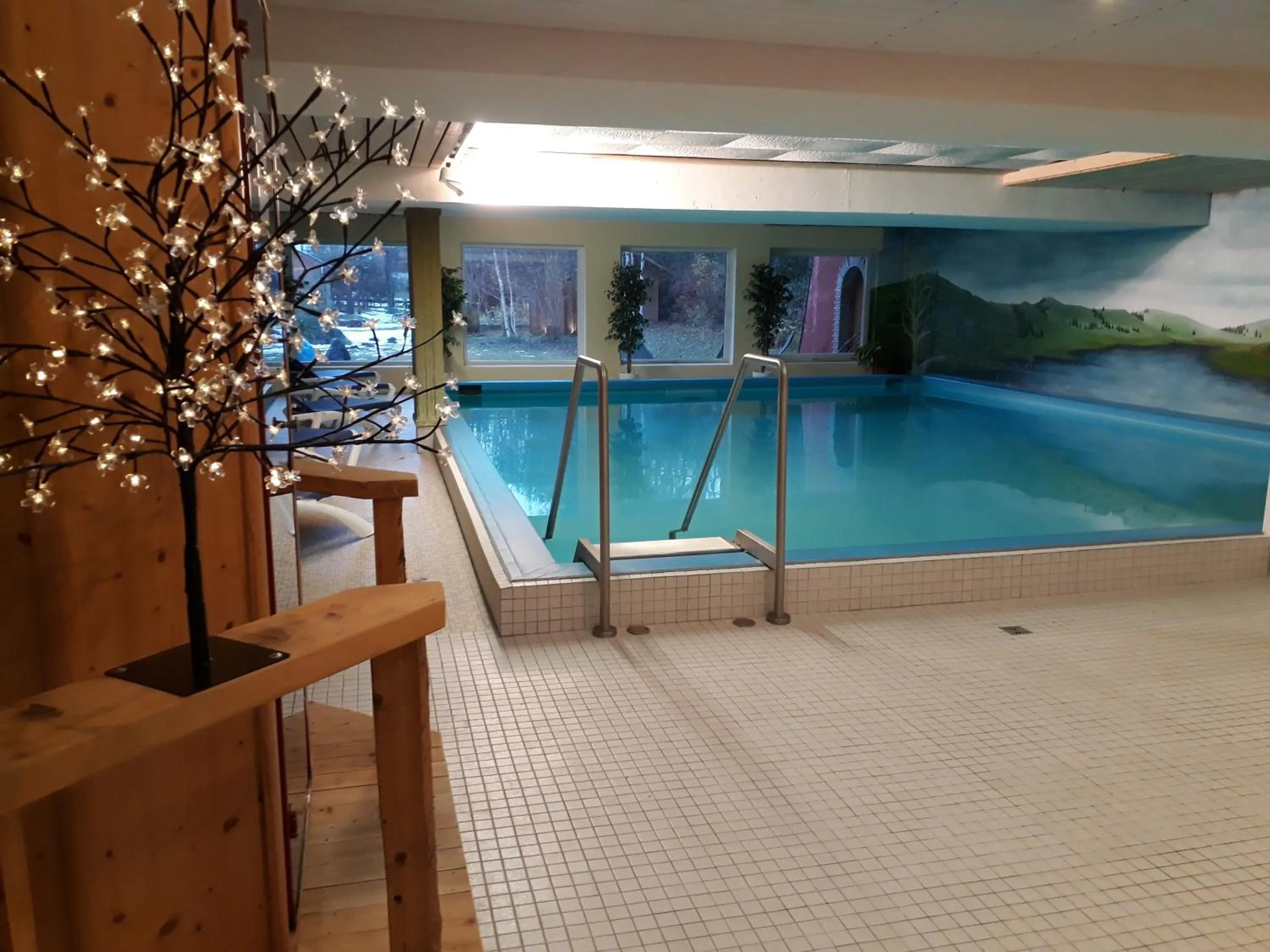 Swimming pool in Hotel Anneliese