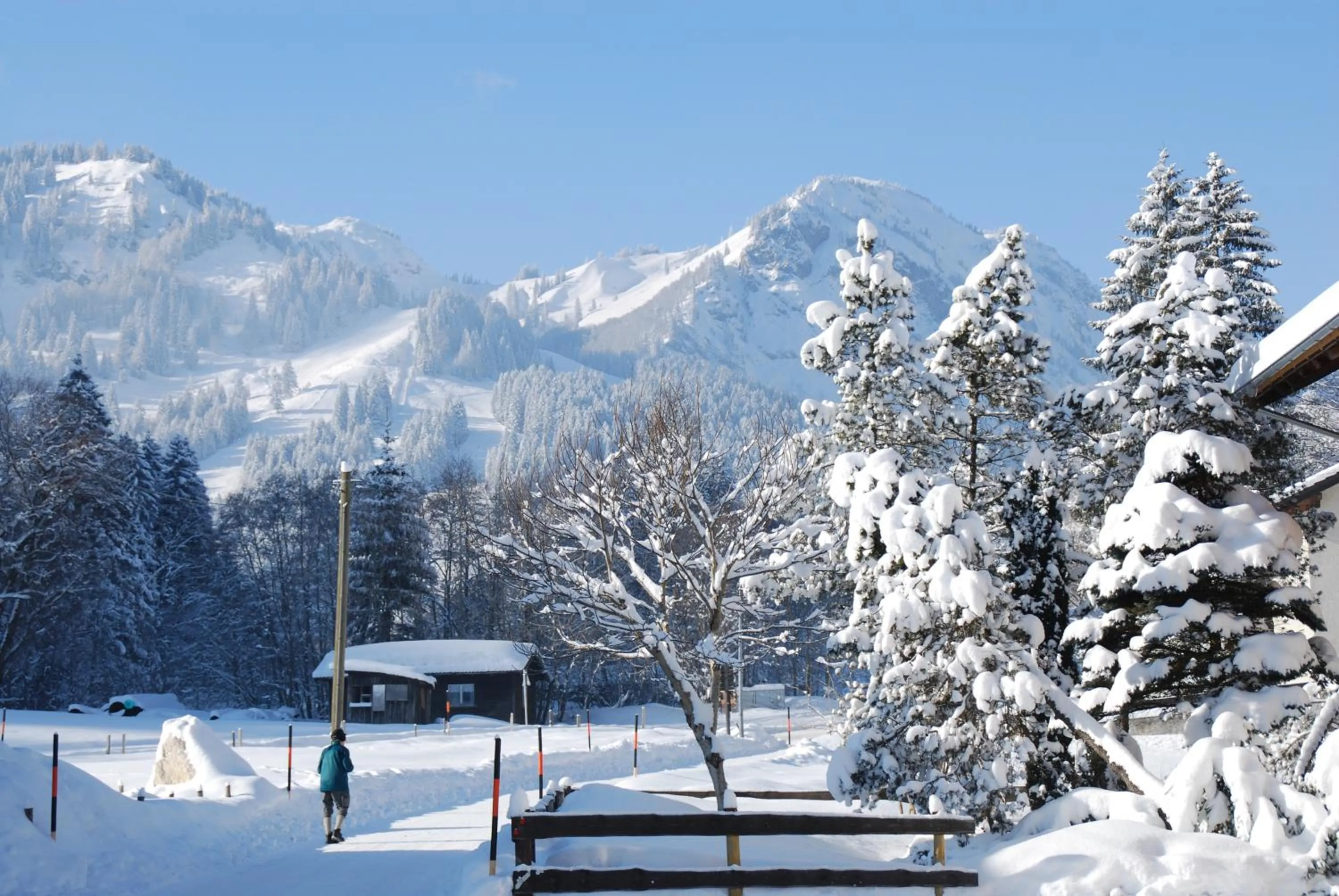 Mountain view in Hotel Anneliese